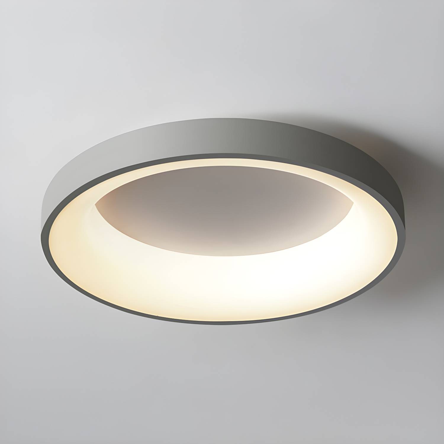 Imported image e37eca346bd8 2609778.jpg