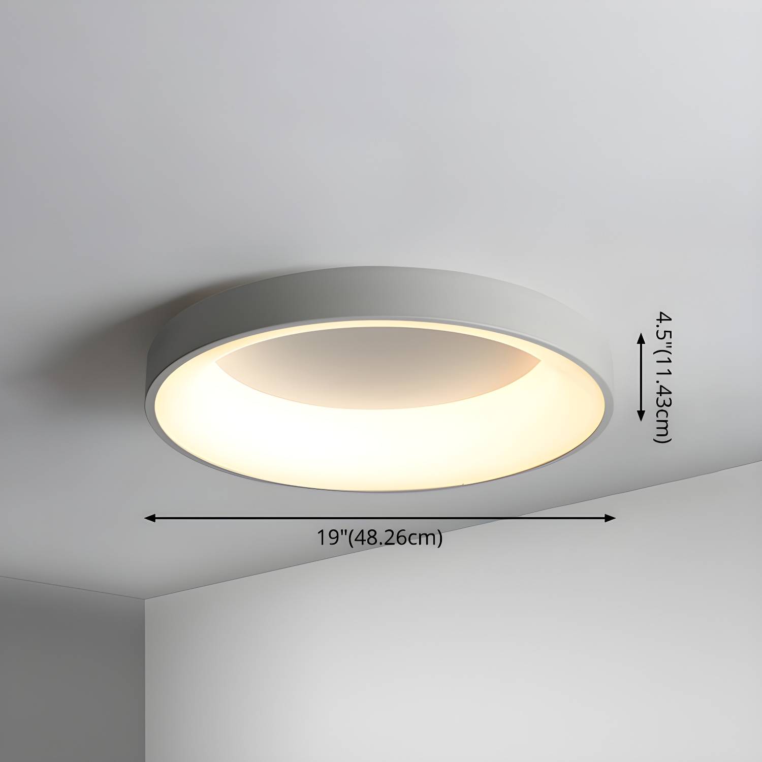 Imported image e8197d4b8745 2609785.jpg