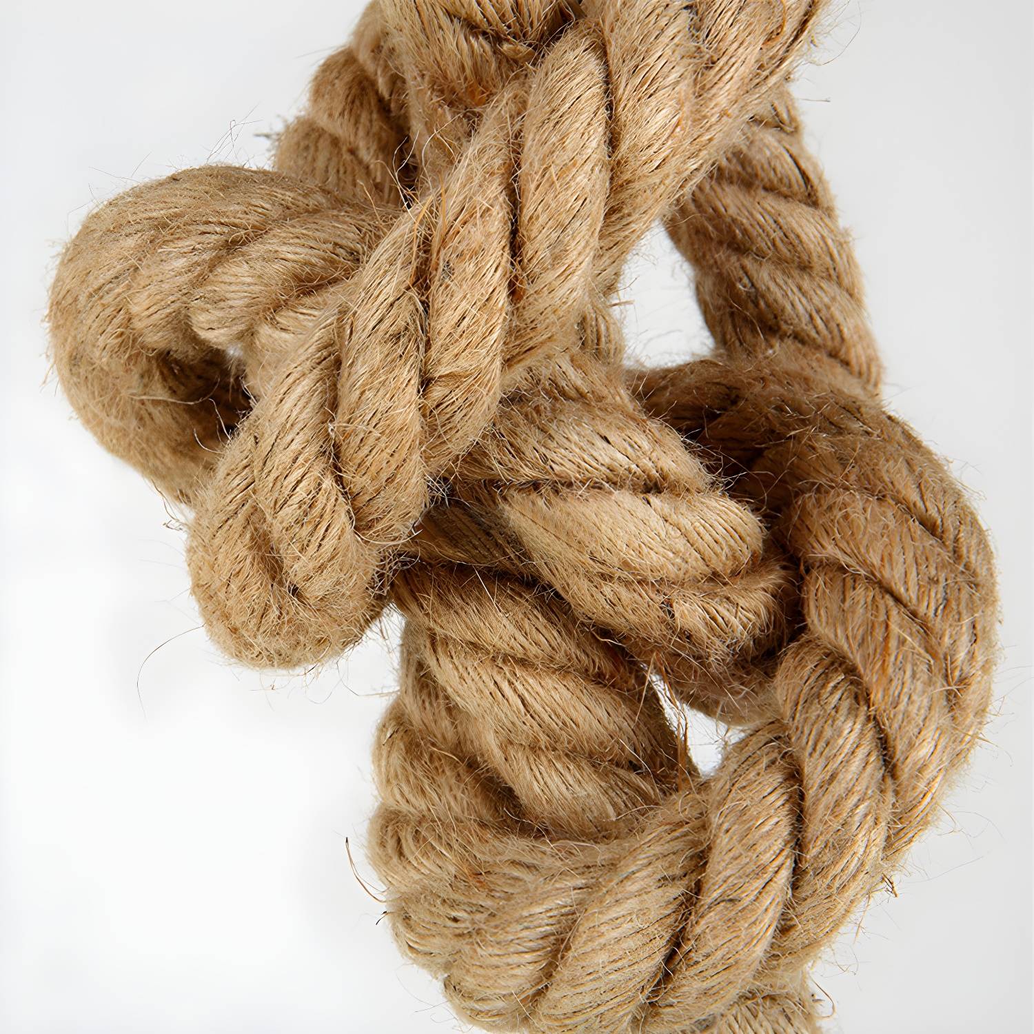 Imported image 6e0e3abd2750 2612226.jpg