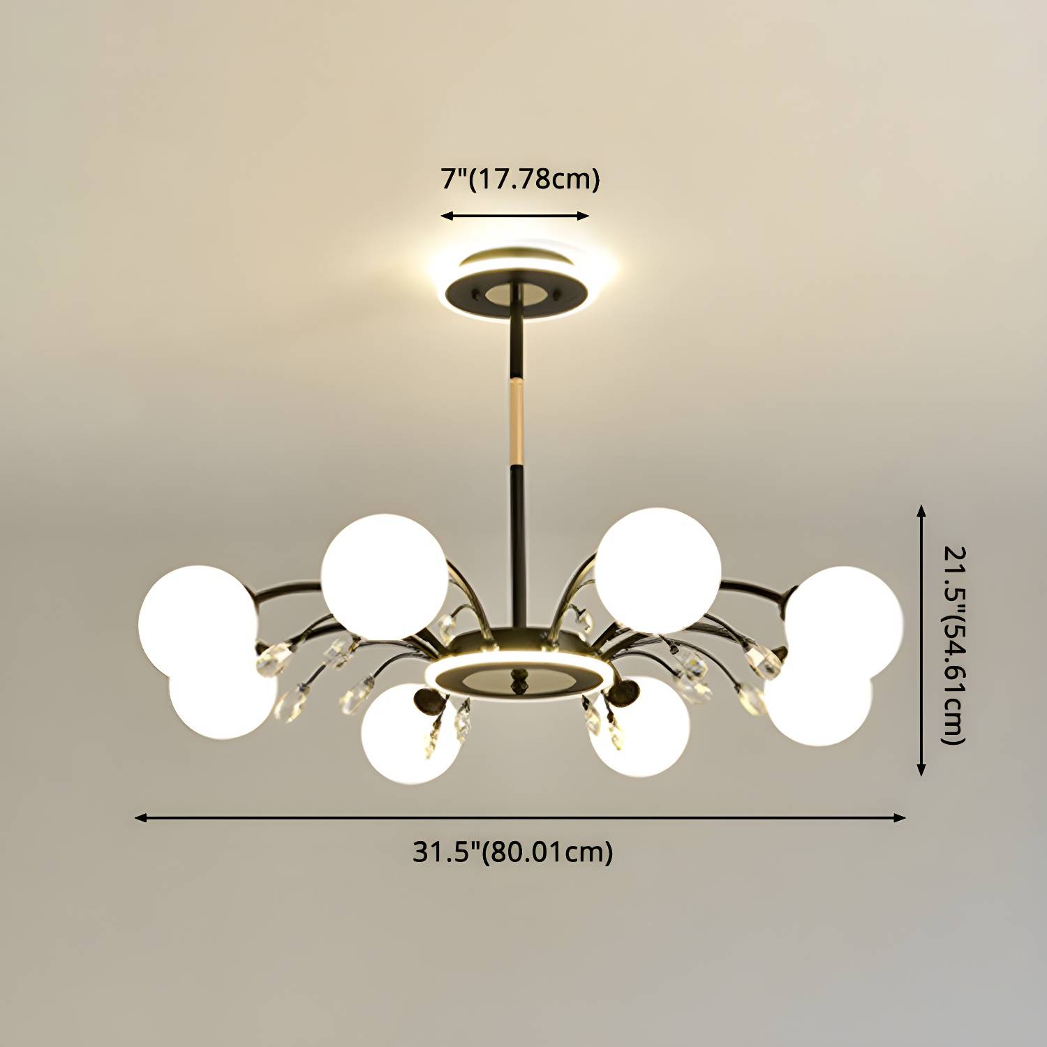 Imported image b51910bf8181 2618822.jpg