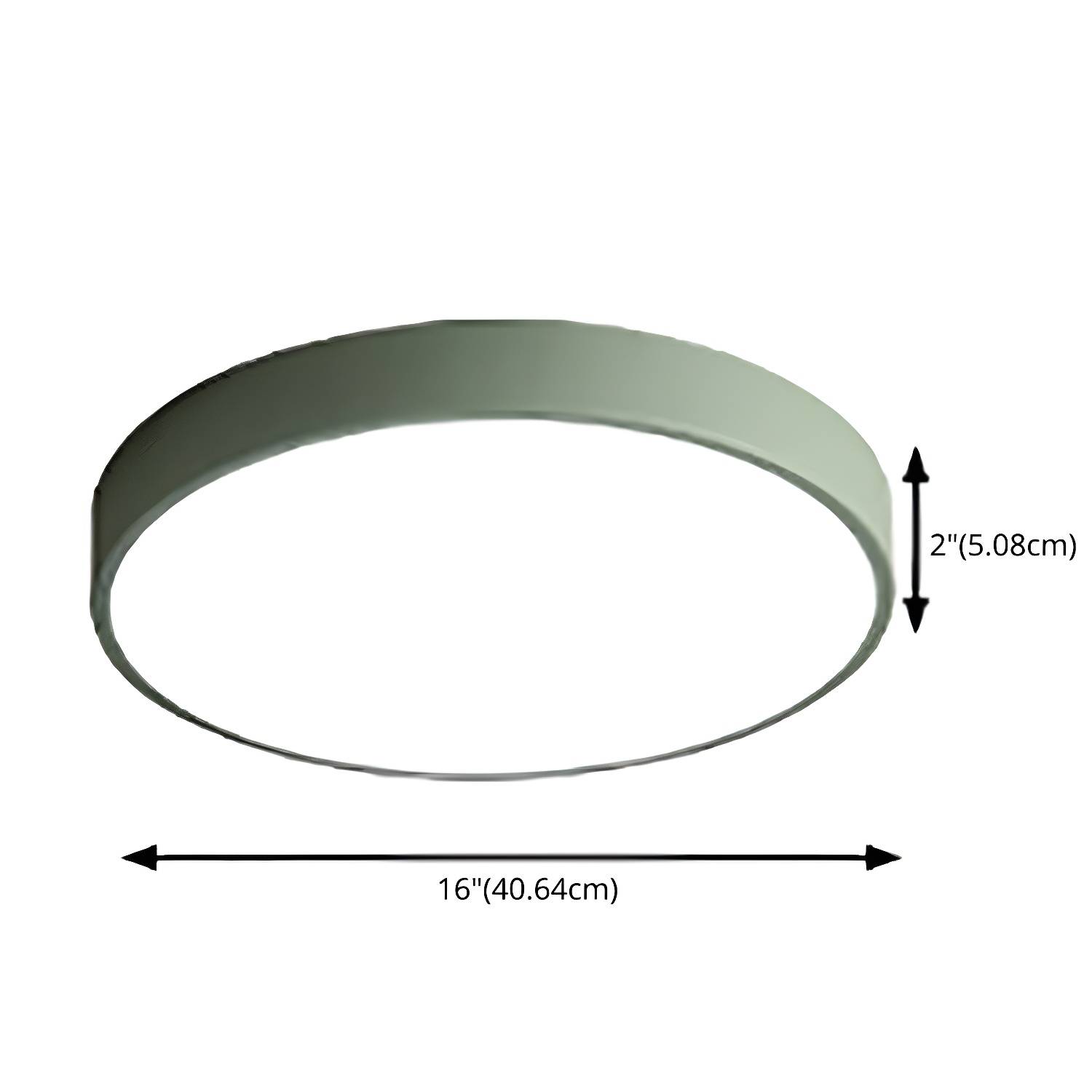 Imported image e8e8cb0b8298 2628339.jpg