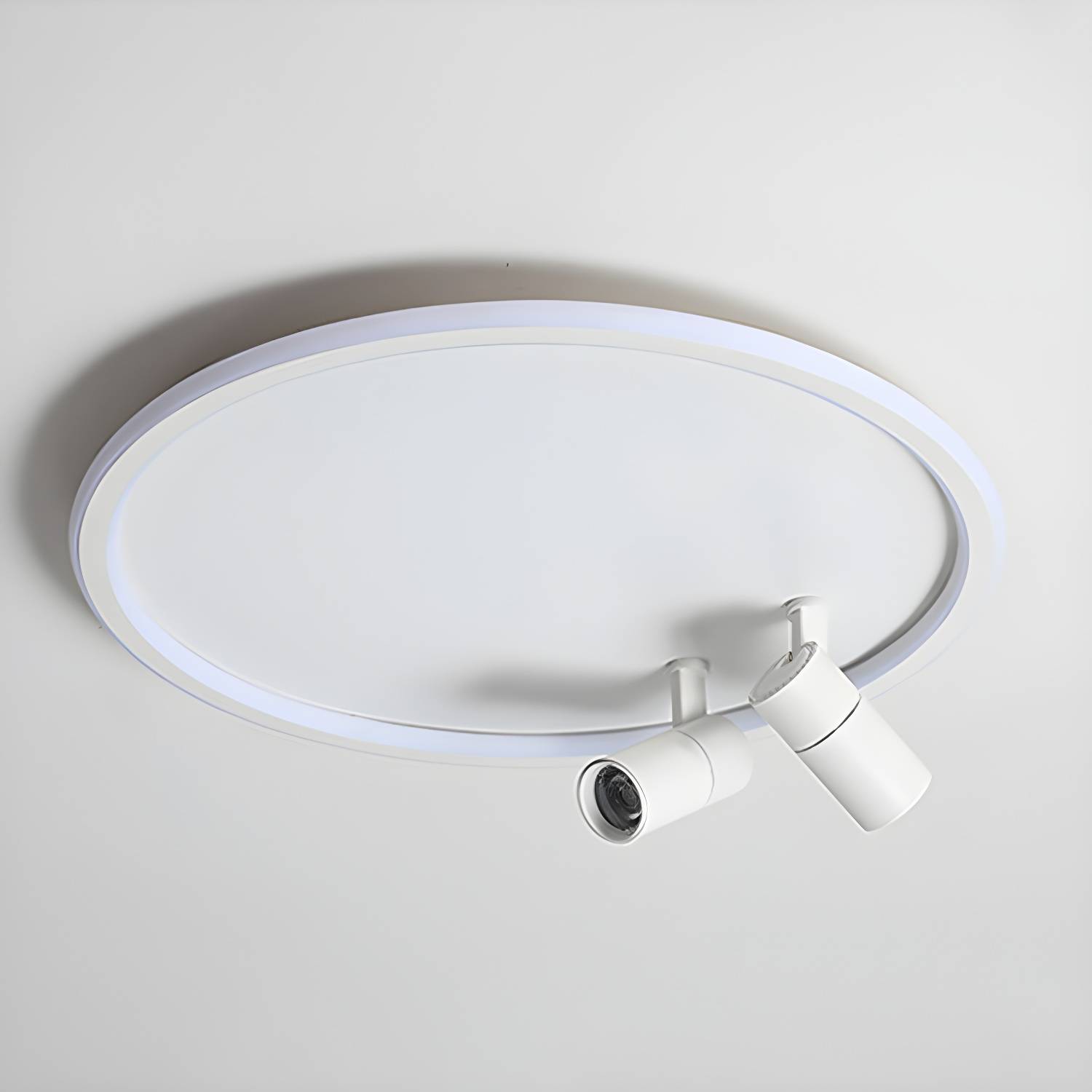 Imported image 41c57db7635b 2629455.jpg