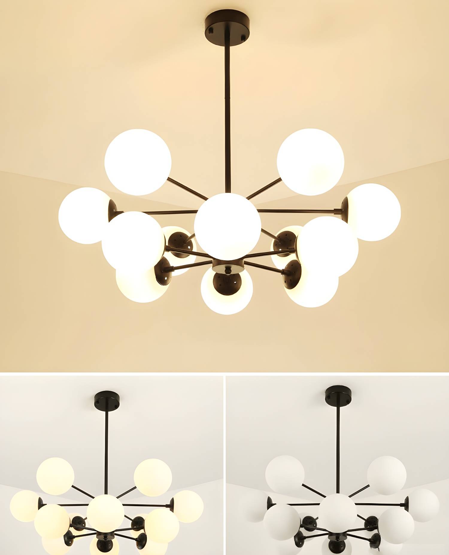 Imported image f1a4d91f15be 2629603.jpg