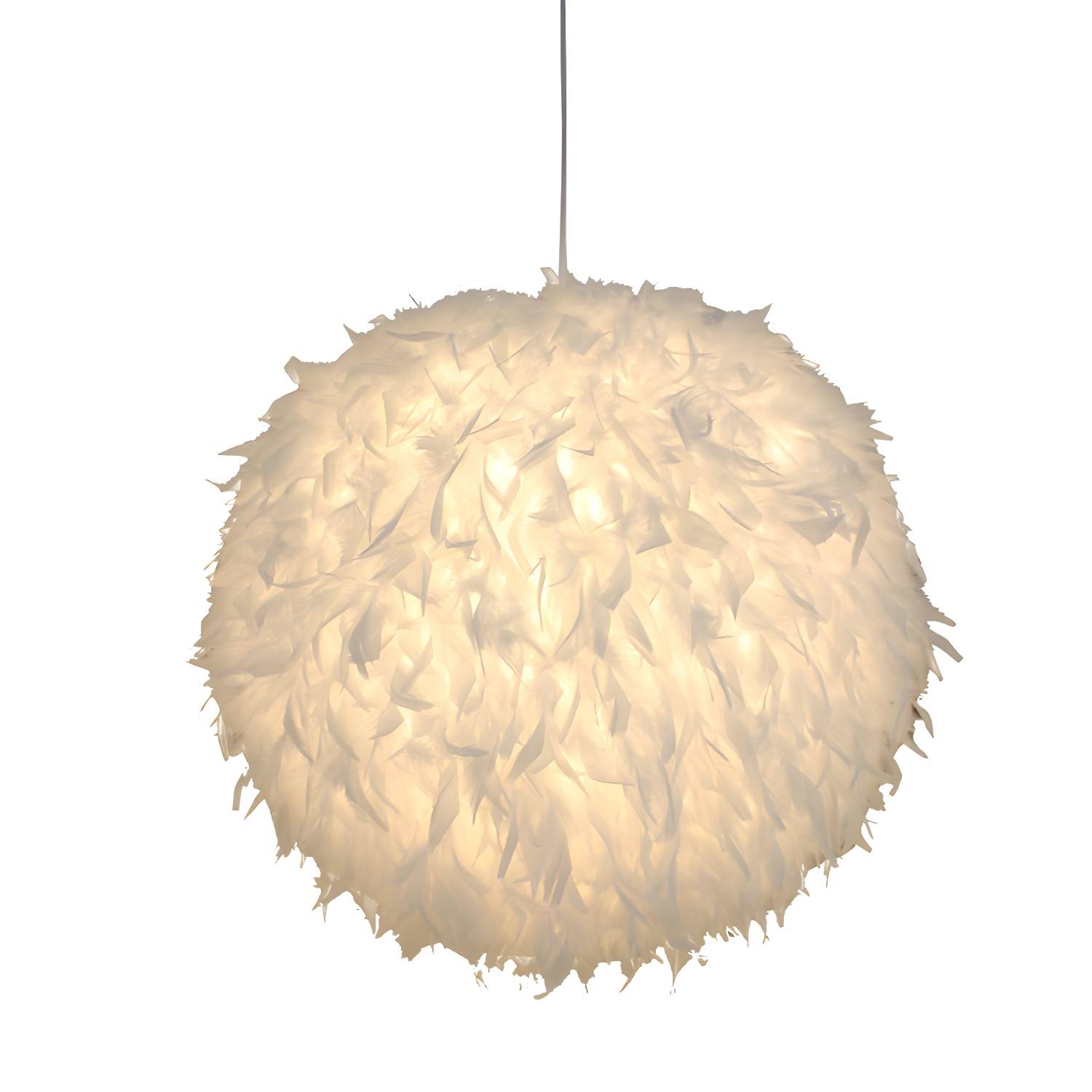 Imported image e67458eacd6b 2636745.jpg