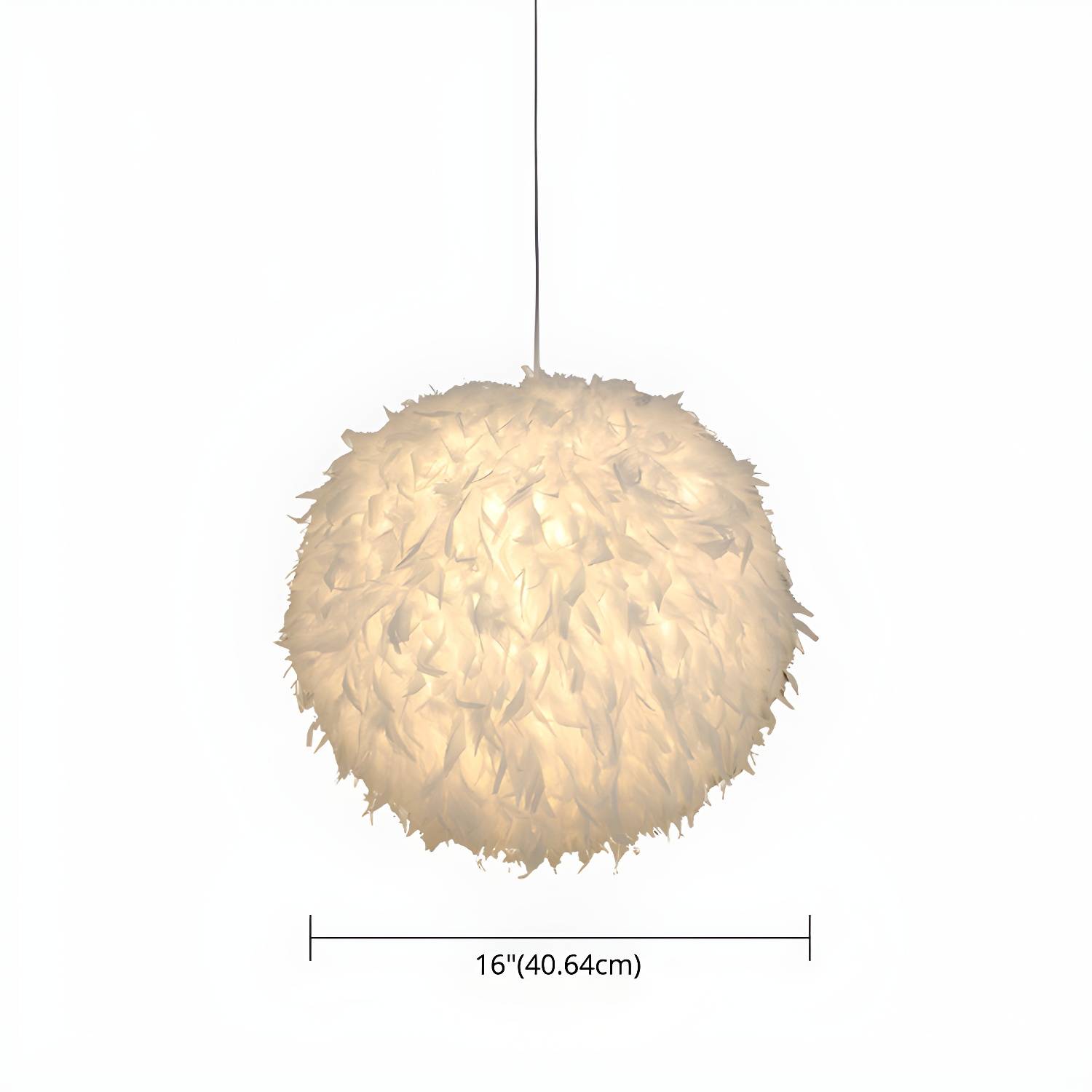 Imported image f66187ee57d2 2636746.jpg