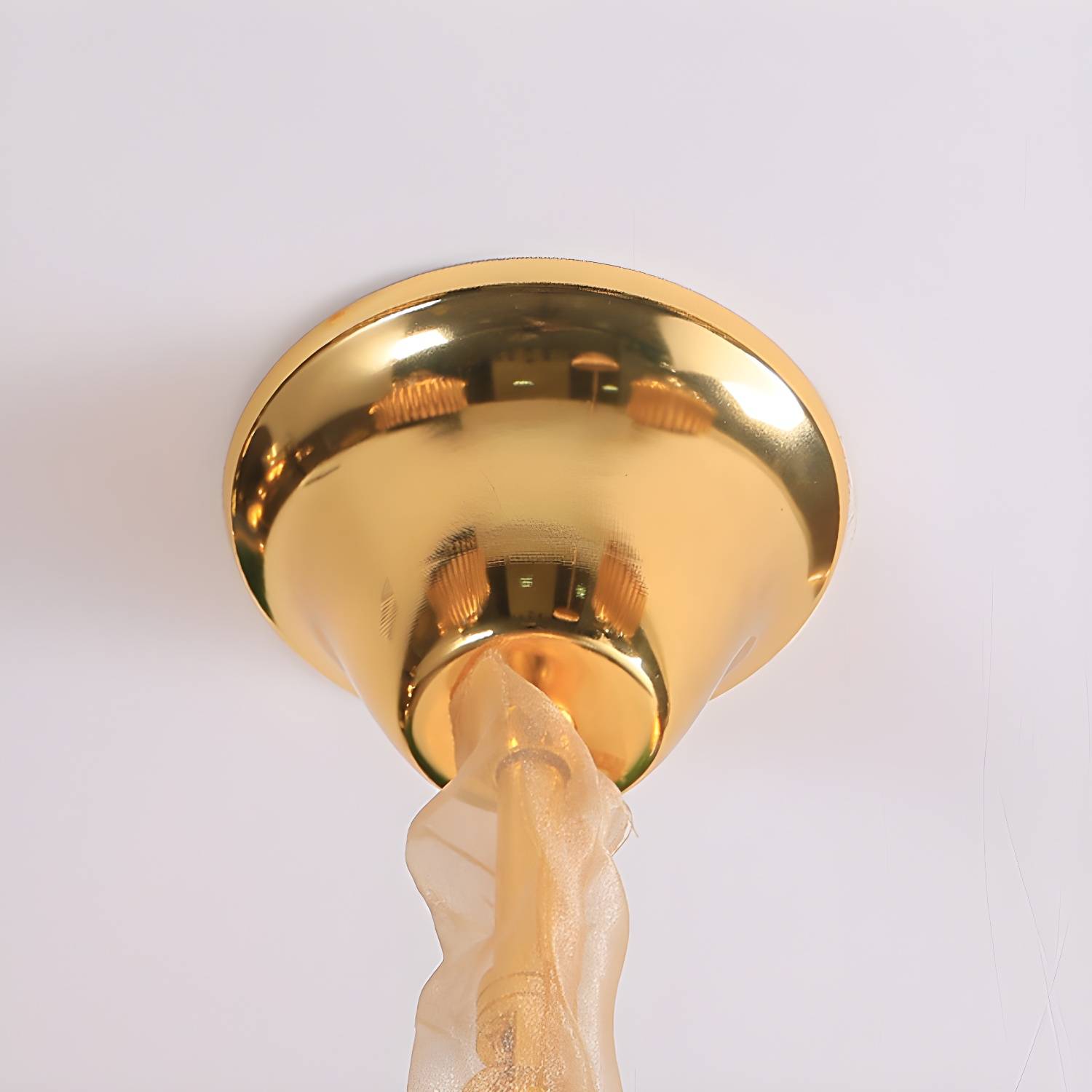 Imported image aca395c49db6 264686.jpg