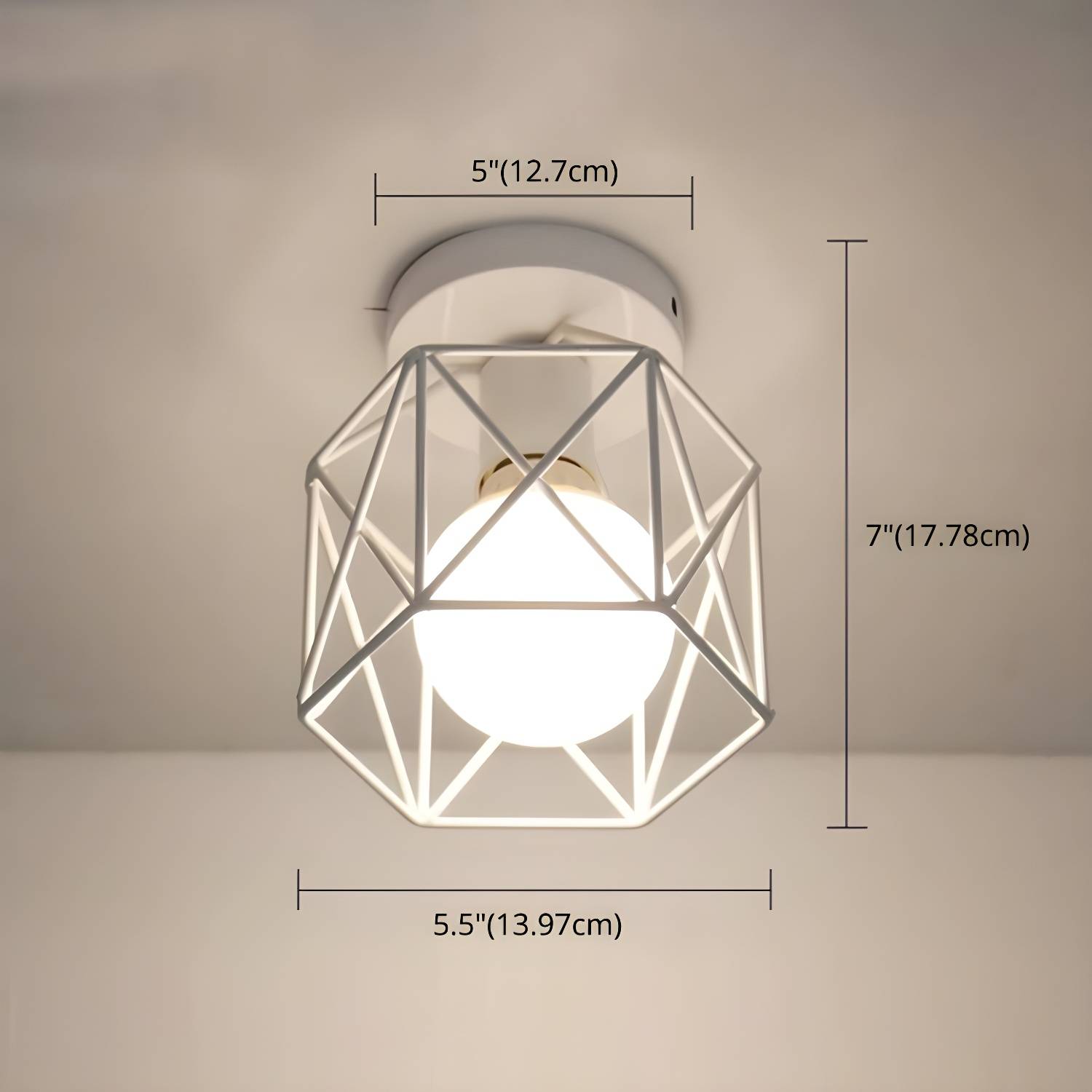 Imported image 3bc48e1b1d41 2647578.jpg