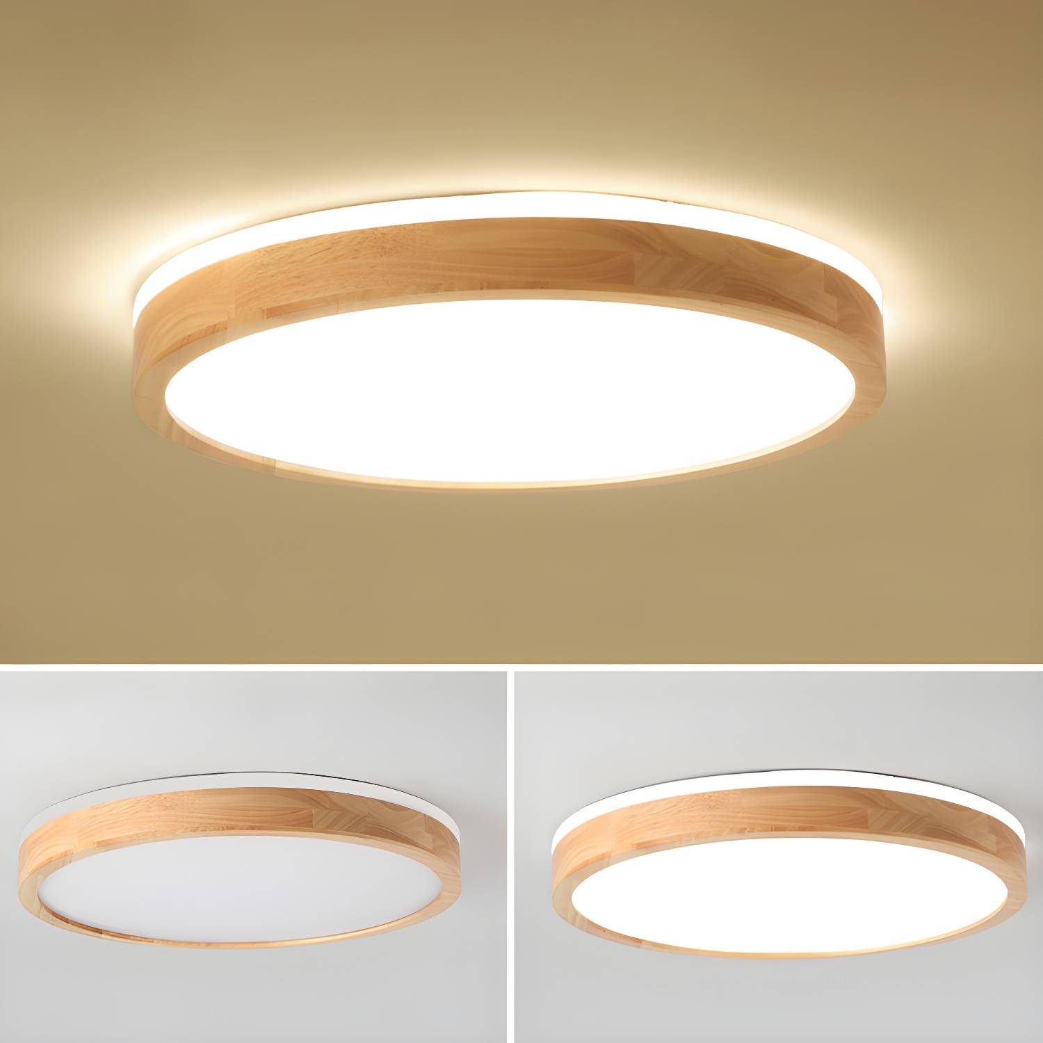 Imported image e2eebad442ce 2647605.jpg