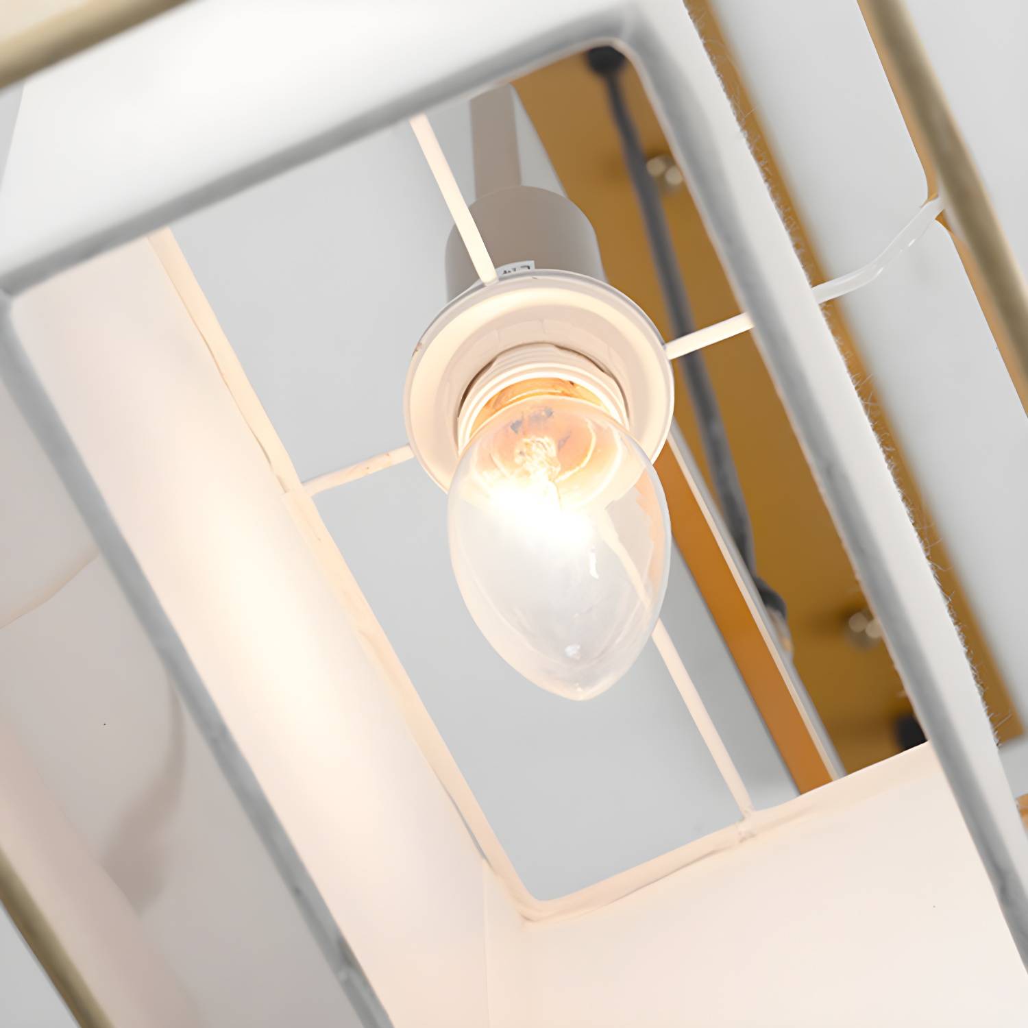 Imported image abb8ce903d9b 2648179.jpg