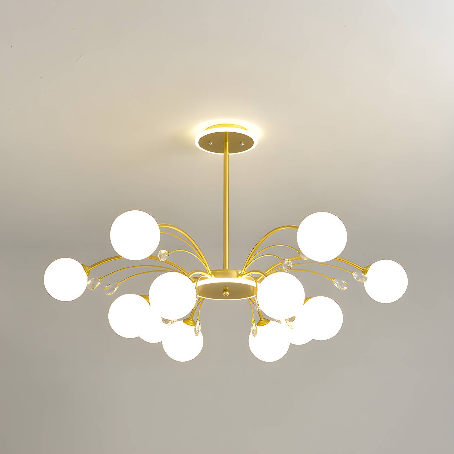 Imported image 9e840c4d1ac6 2658155.jpg