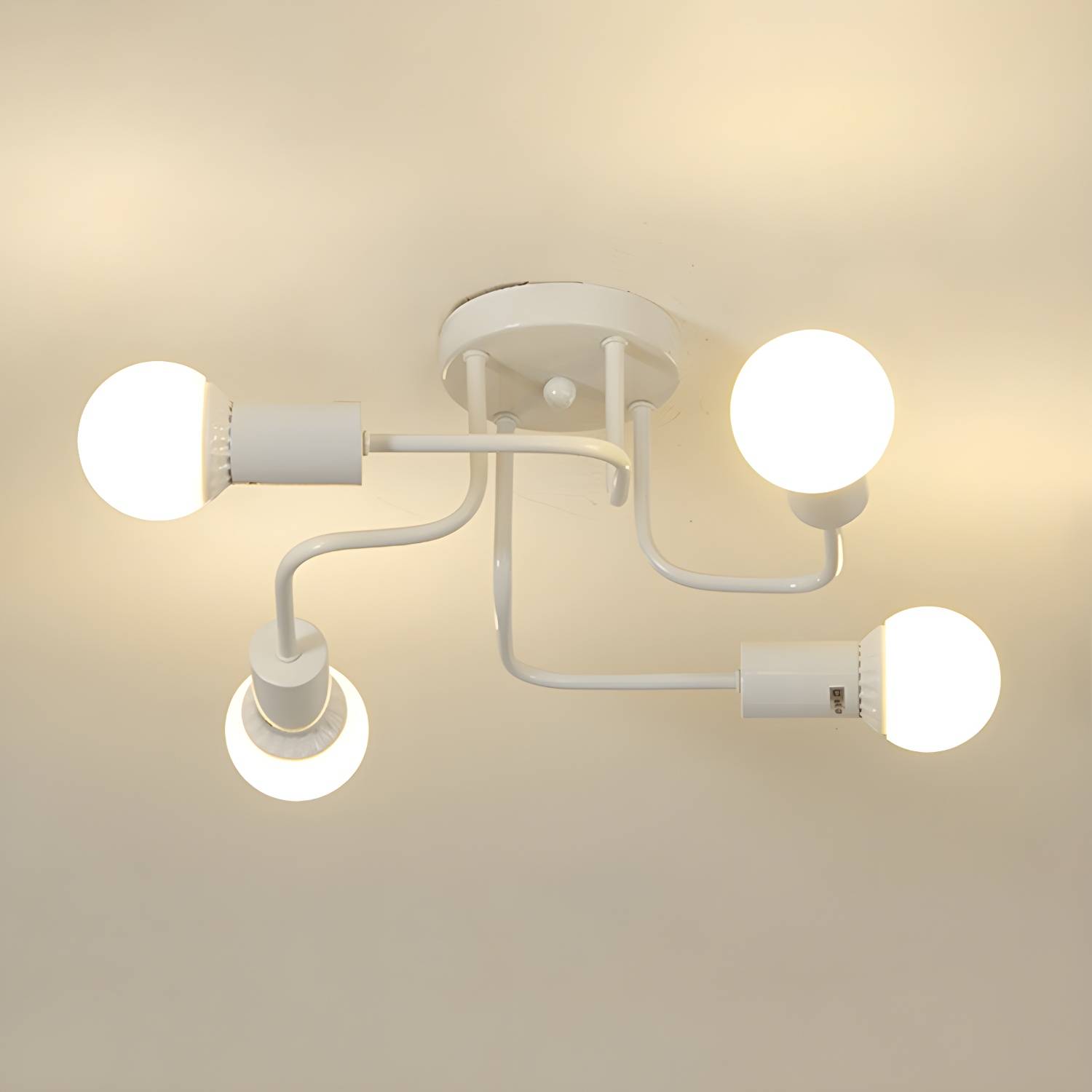 Imported image ec22b431000f 2658874.jpg