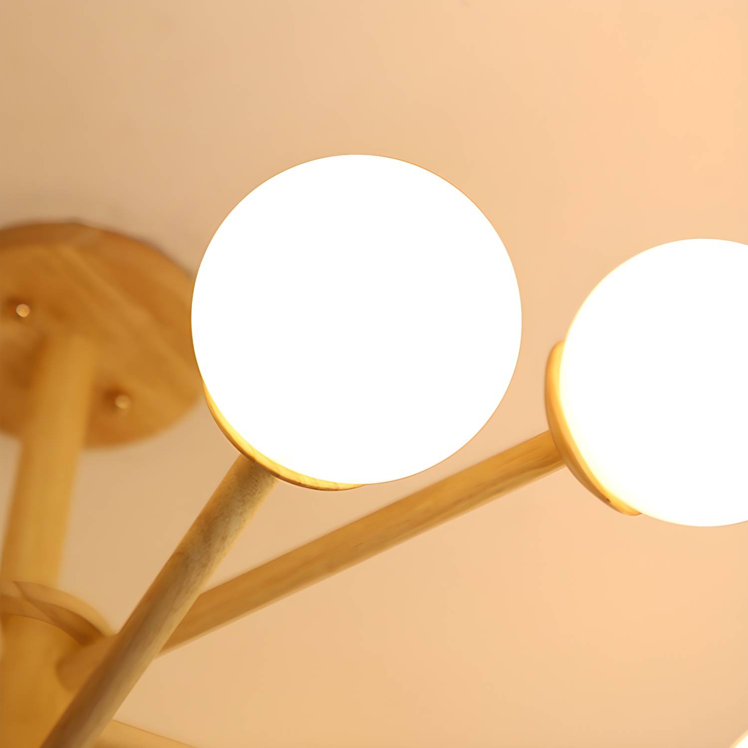 Imported image 2d04d5ed5200 2672264.jpg