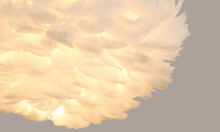 Imported image 9a094e6f1500 2684703.jpg