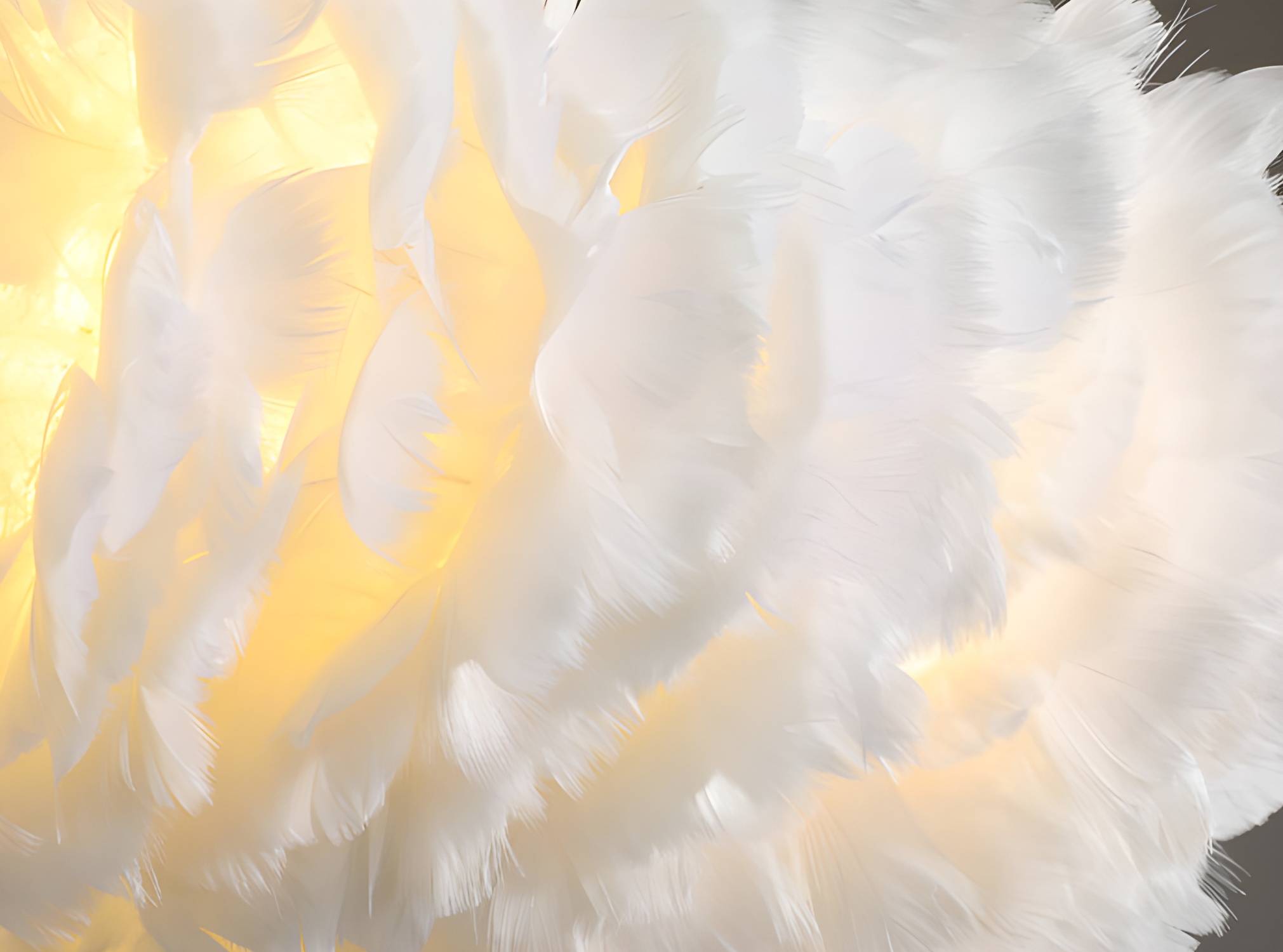 Imported image ddcb48bdd5a8 2684704.jpg