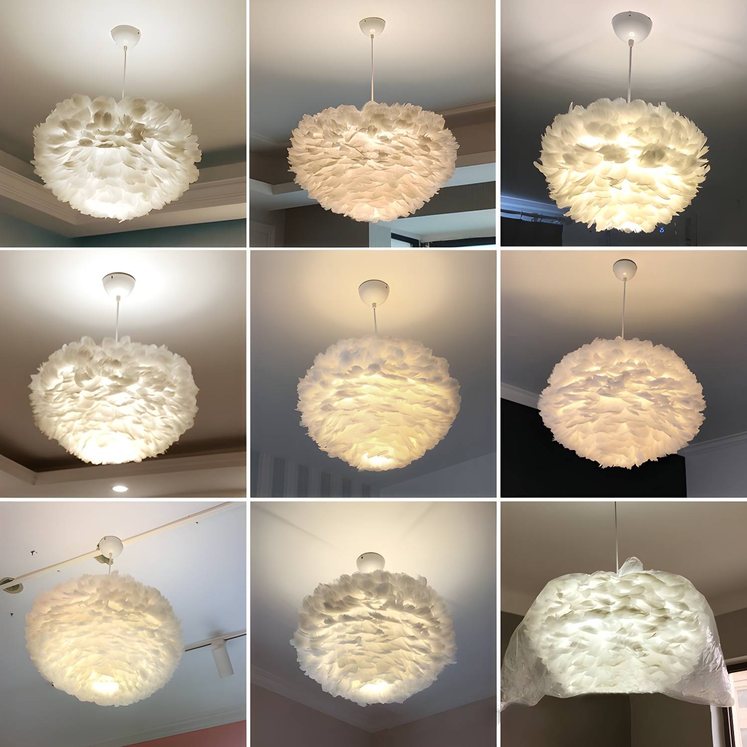 Imported image e86b5dfda802 2685327.jpg