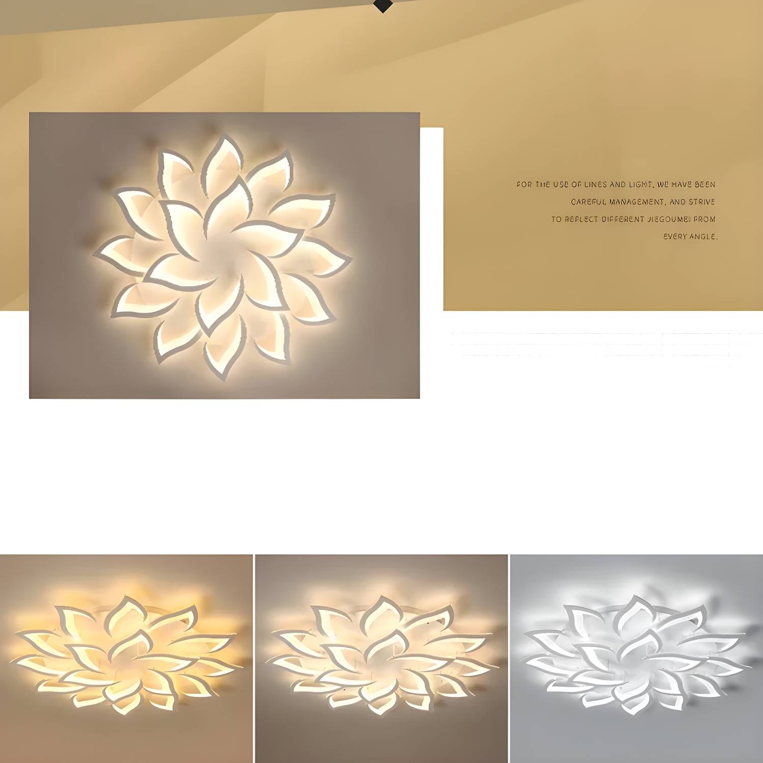 Imported image 805d8e3f318b 2685822.jpg