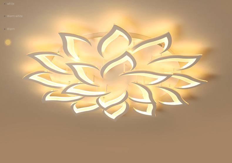 Imported image 030a3ab0ffc7 2685823.jpg
