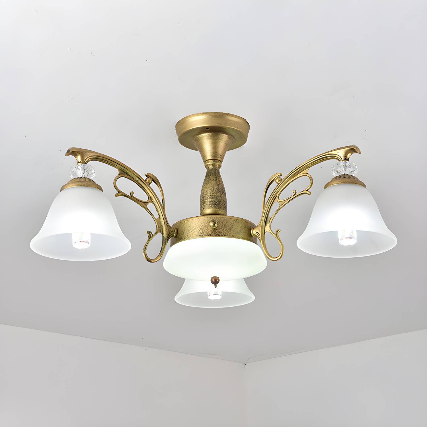 Imported image c1d1bda5f8e8 2688075.jpg
