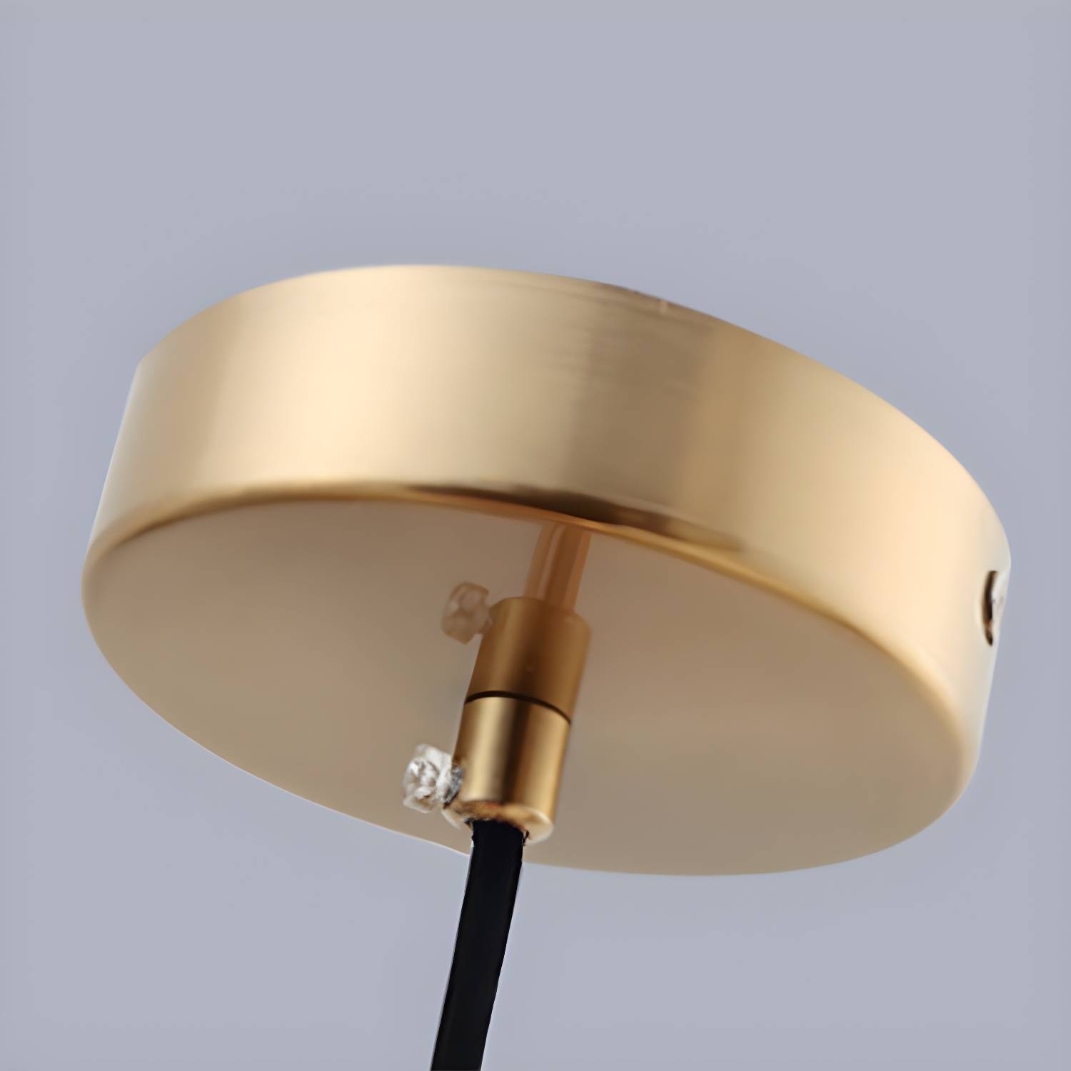 Imported image d6894ebb814d 2692086.jpg