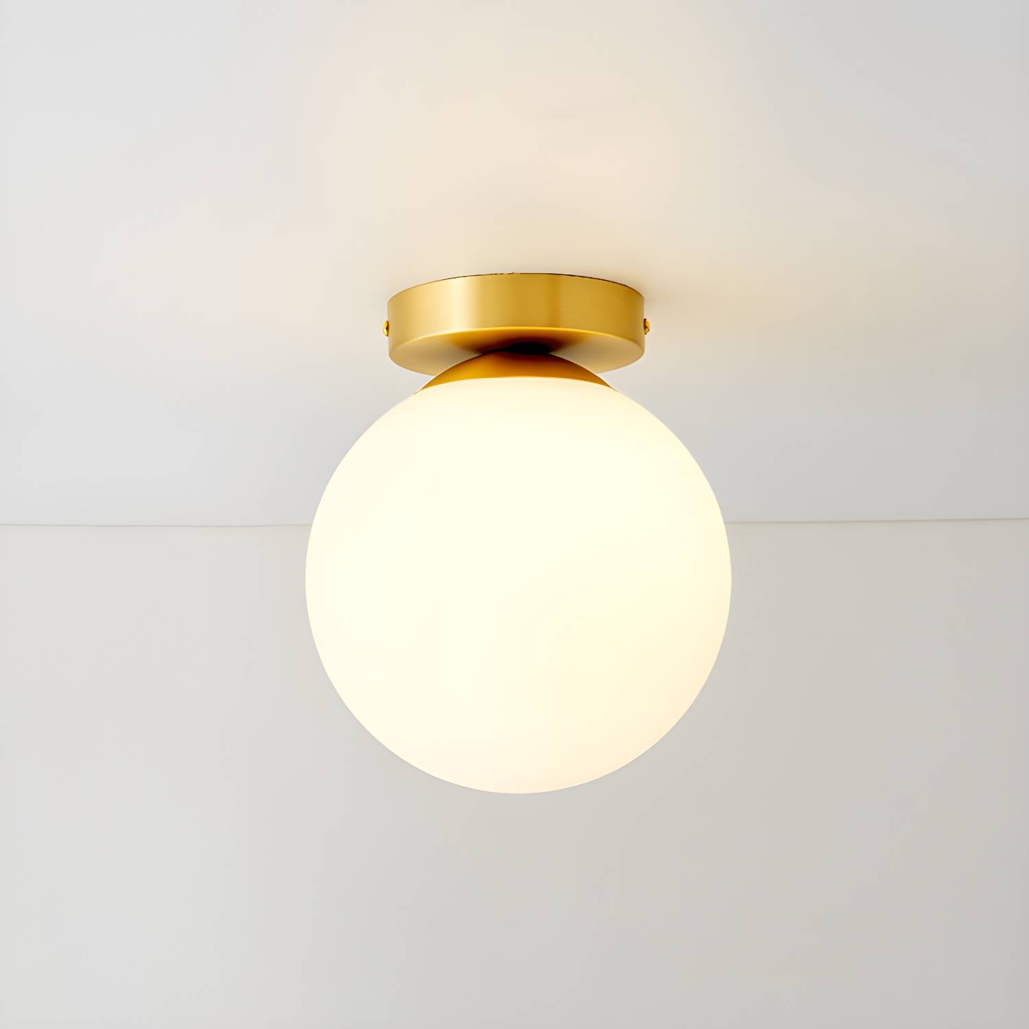 Imported image d65de825e917 2692849.jpg