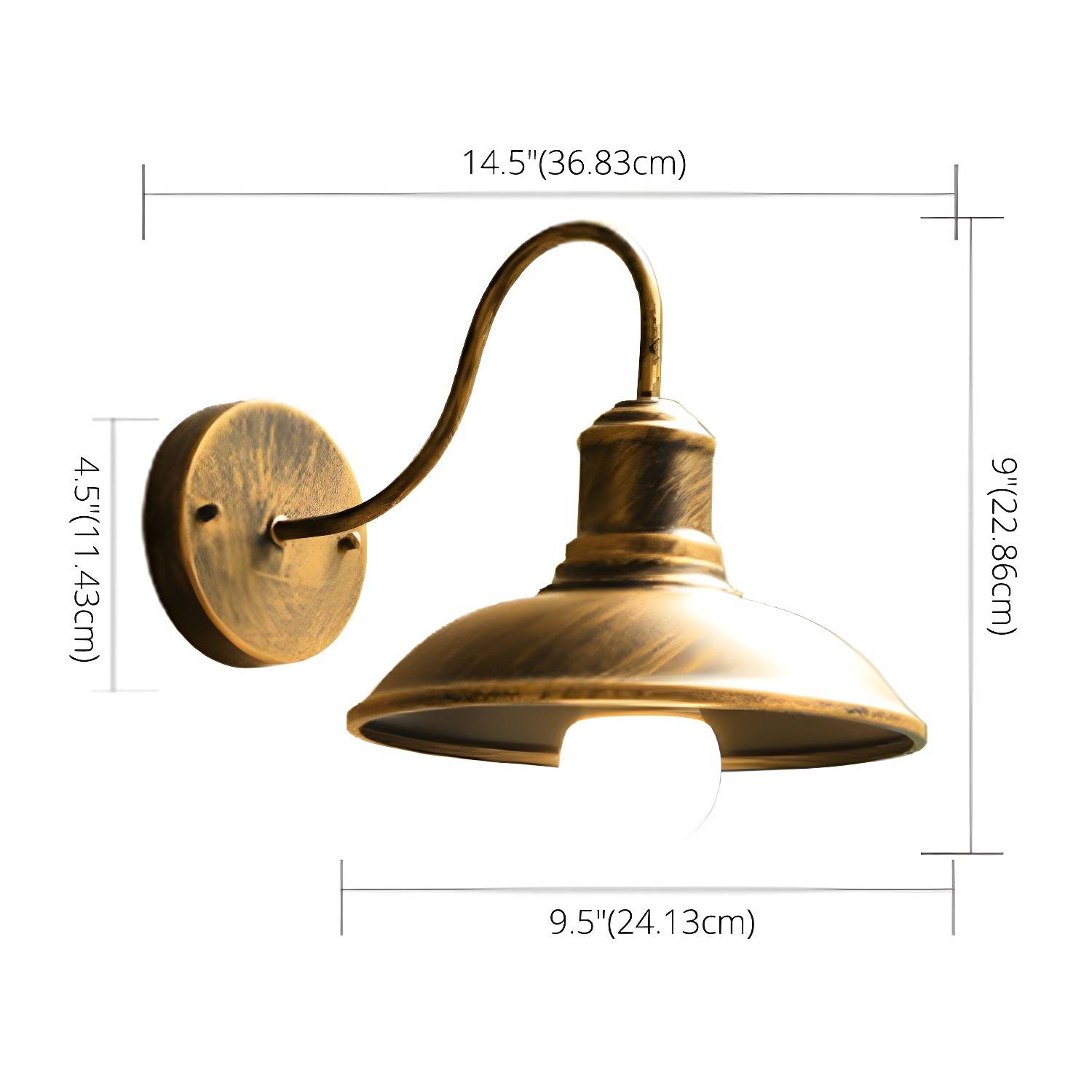 Imported image e76d01d6a7ea 2694235.jpg