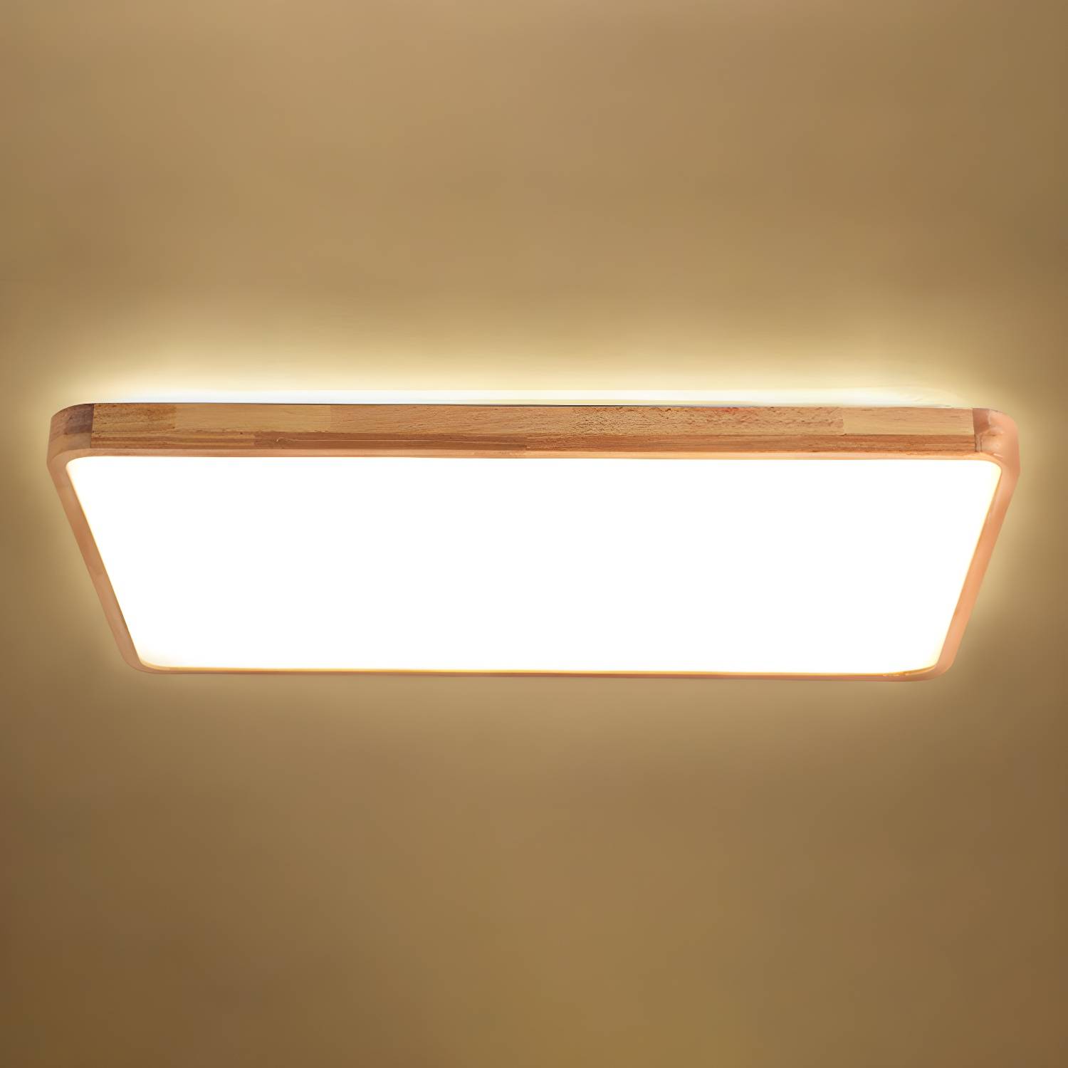 Imported image 55dc52e20672 2700349.jpg