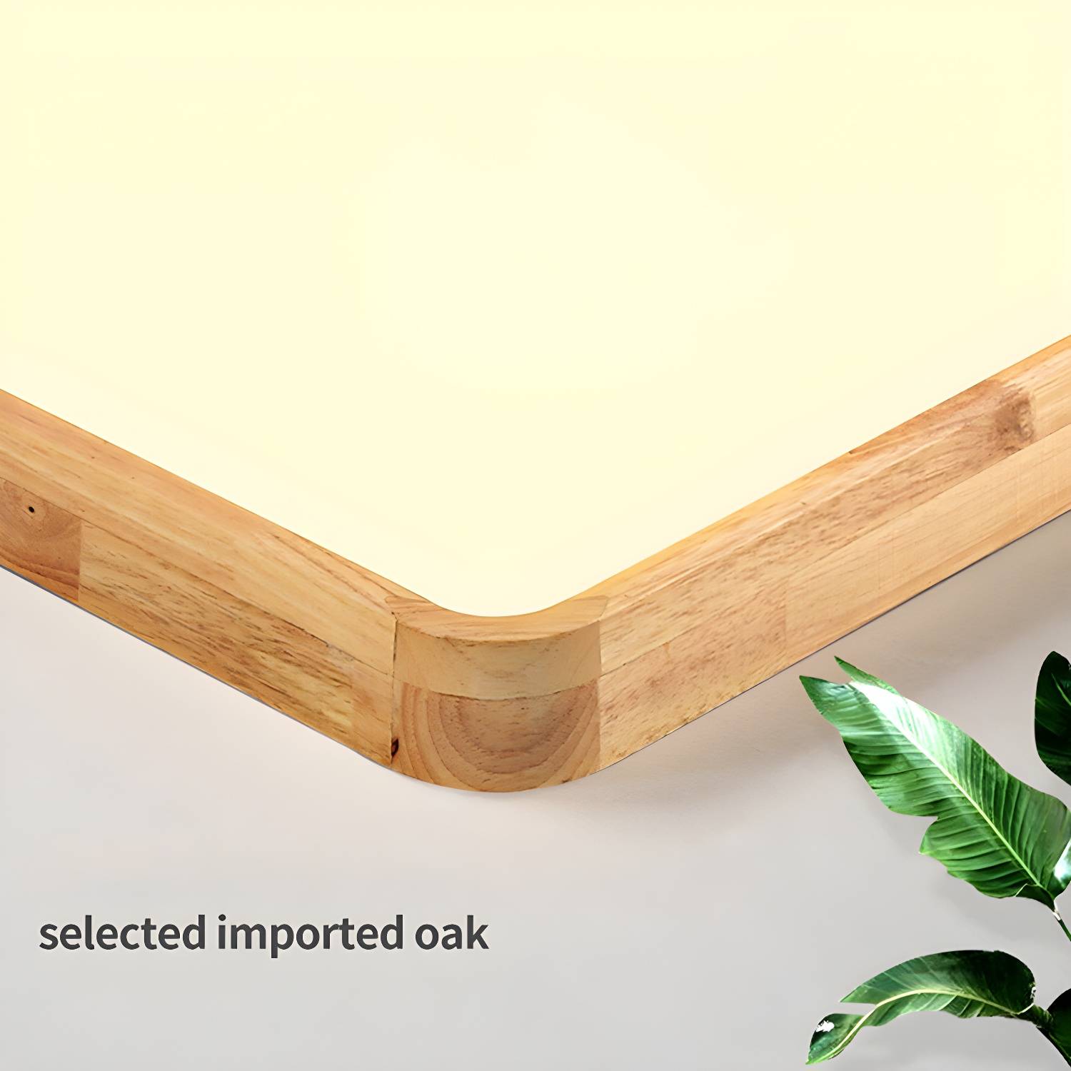 Imported image 73d3d8a7aa00 2700358.jpg