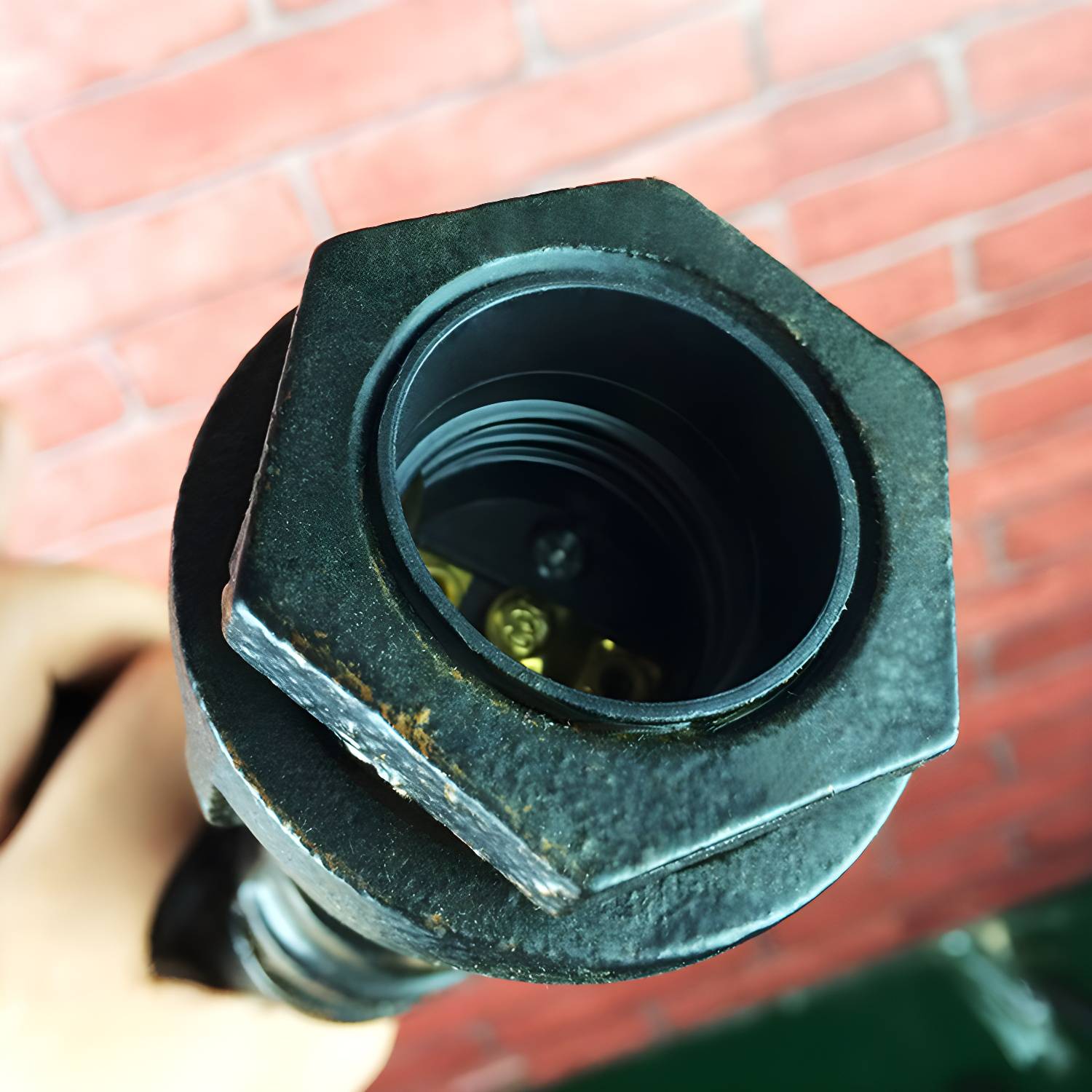 Imported image f9fd8fe64e23 2706393.jpg