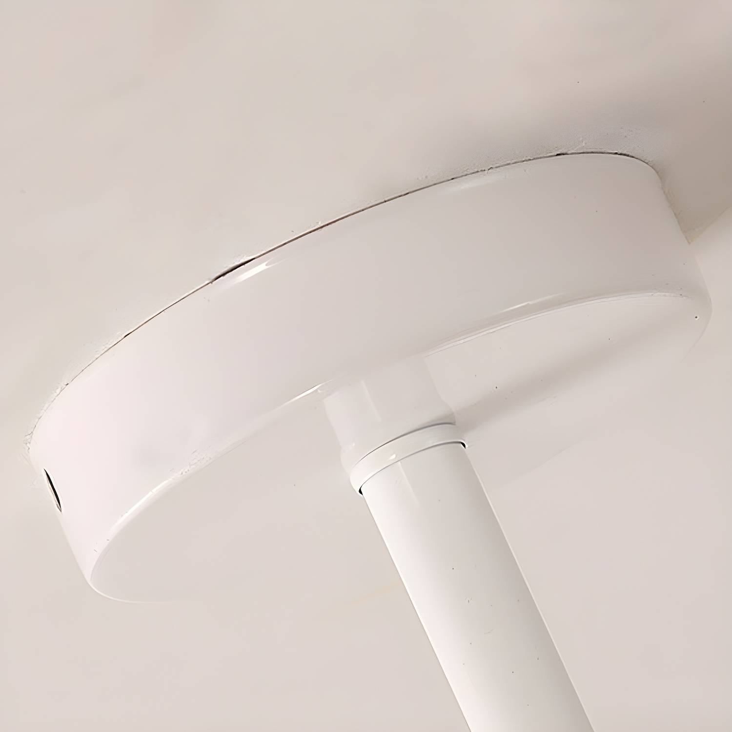 Imported image fd800d5c1f50 2710684.jpg