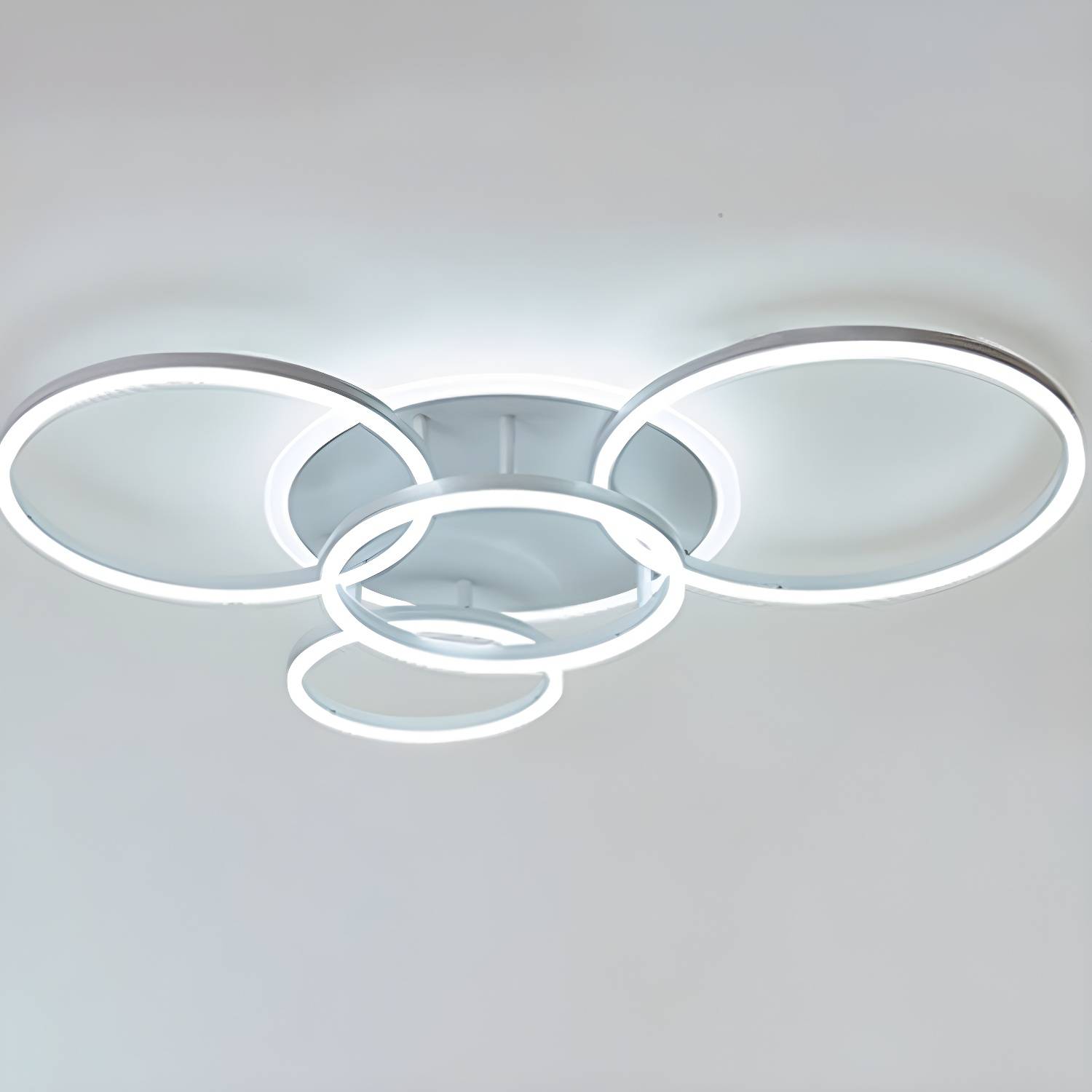 Imported image 28abf6ce0cee 2711070.jpg