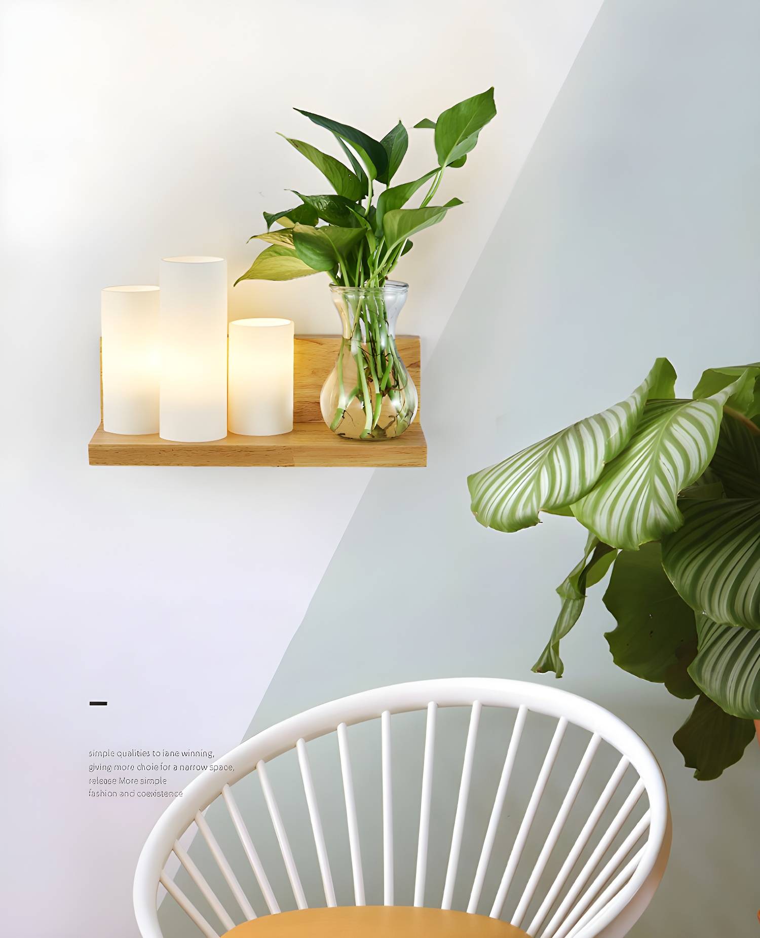 Imported image e1d0d0fd3568 2712527.jpg