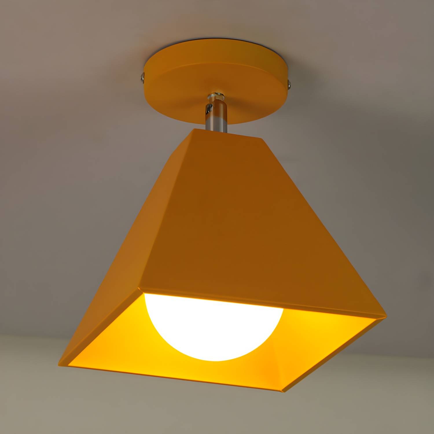 Imported image 19174989e87f 2713042.jpg