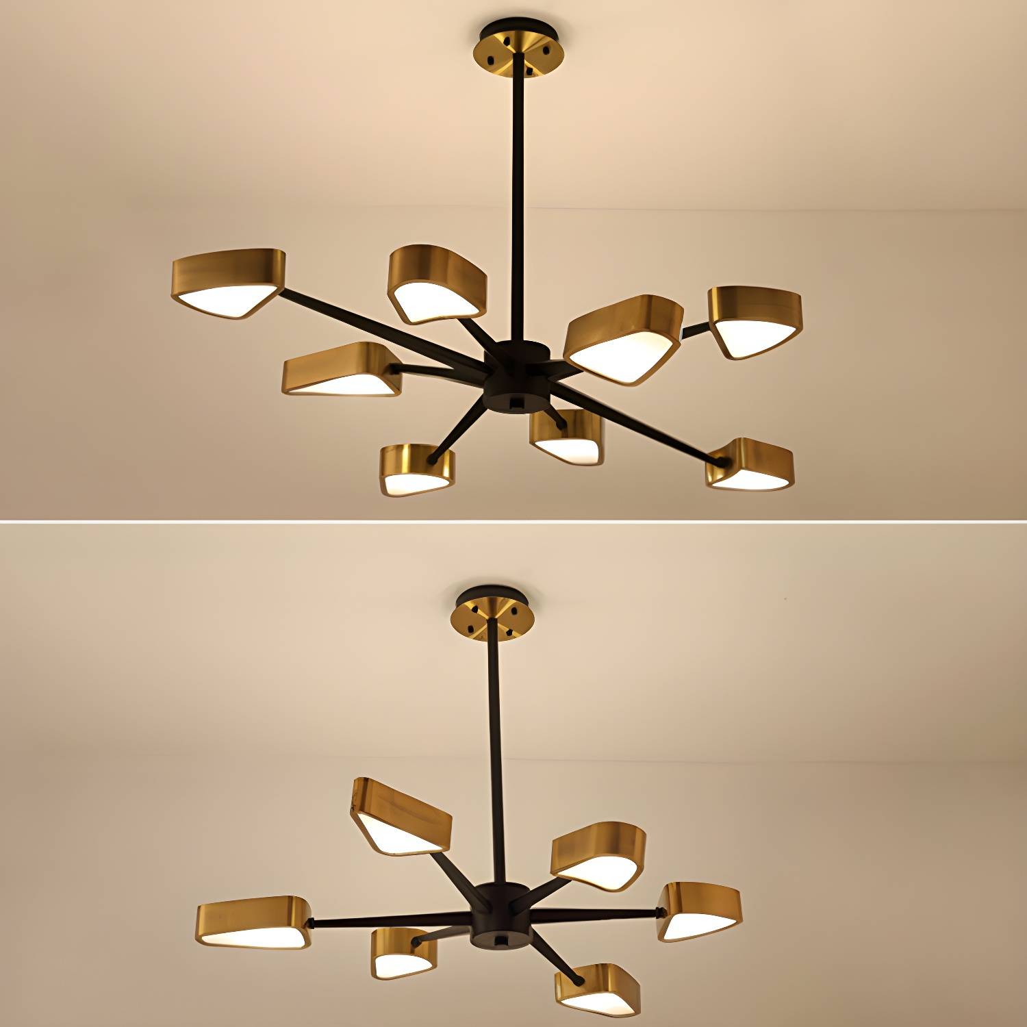 Imported image a56e1104fadb 2718976.jpg