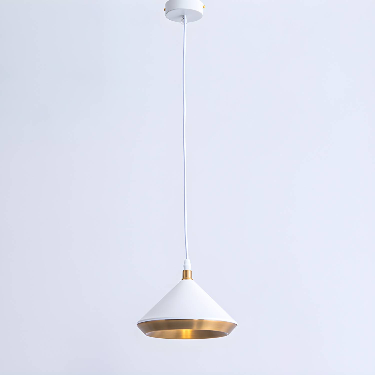 Imported image 55c96e9c24c6 2718992.jpg
