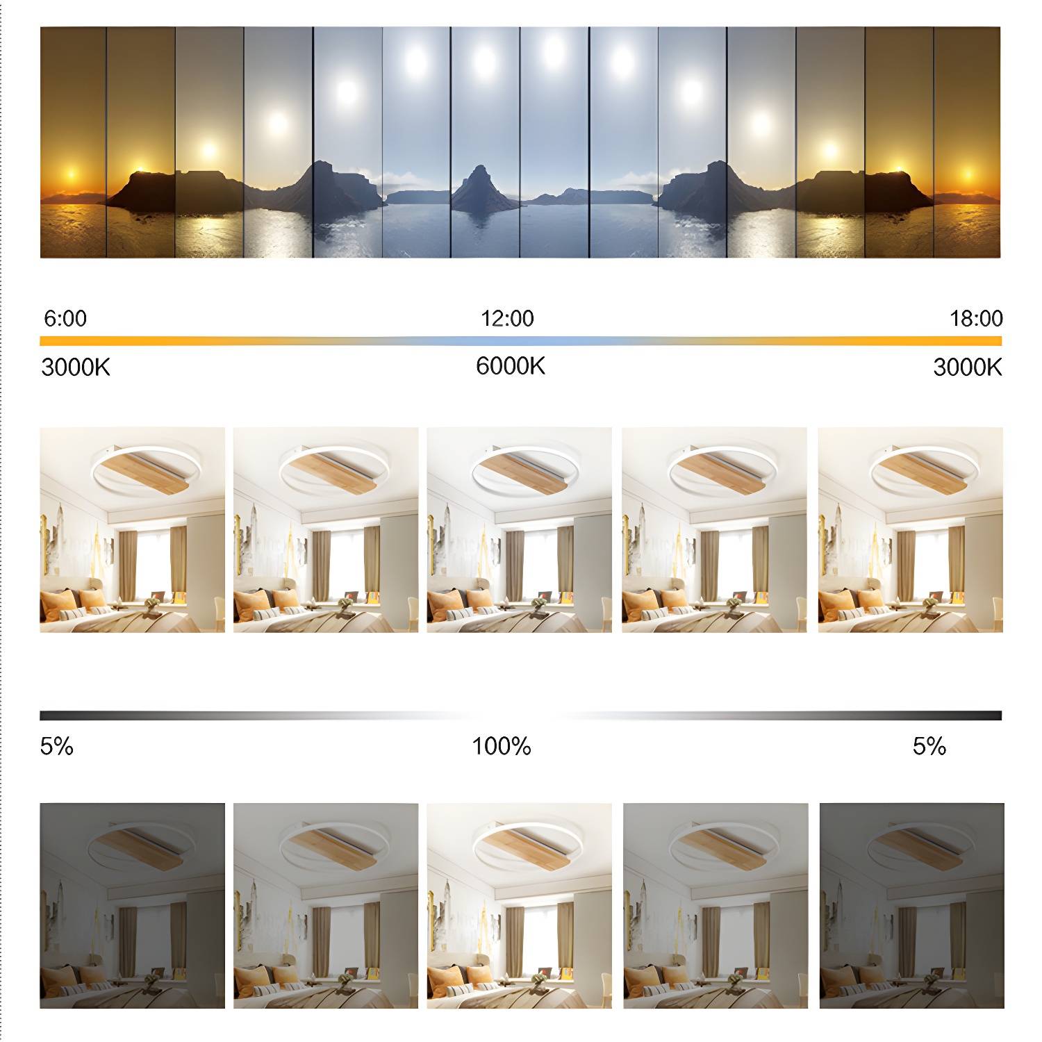 Imported image 18cb5f9df464 2719561.jpg