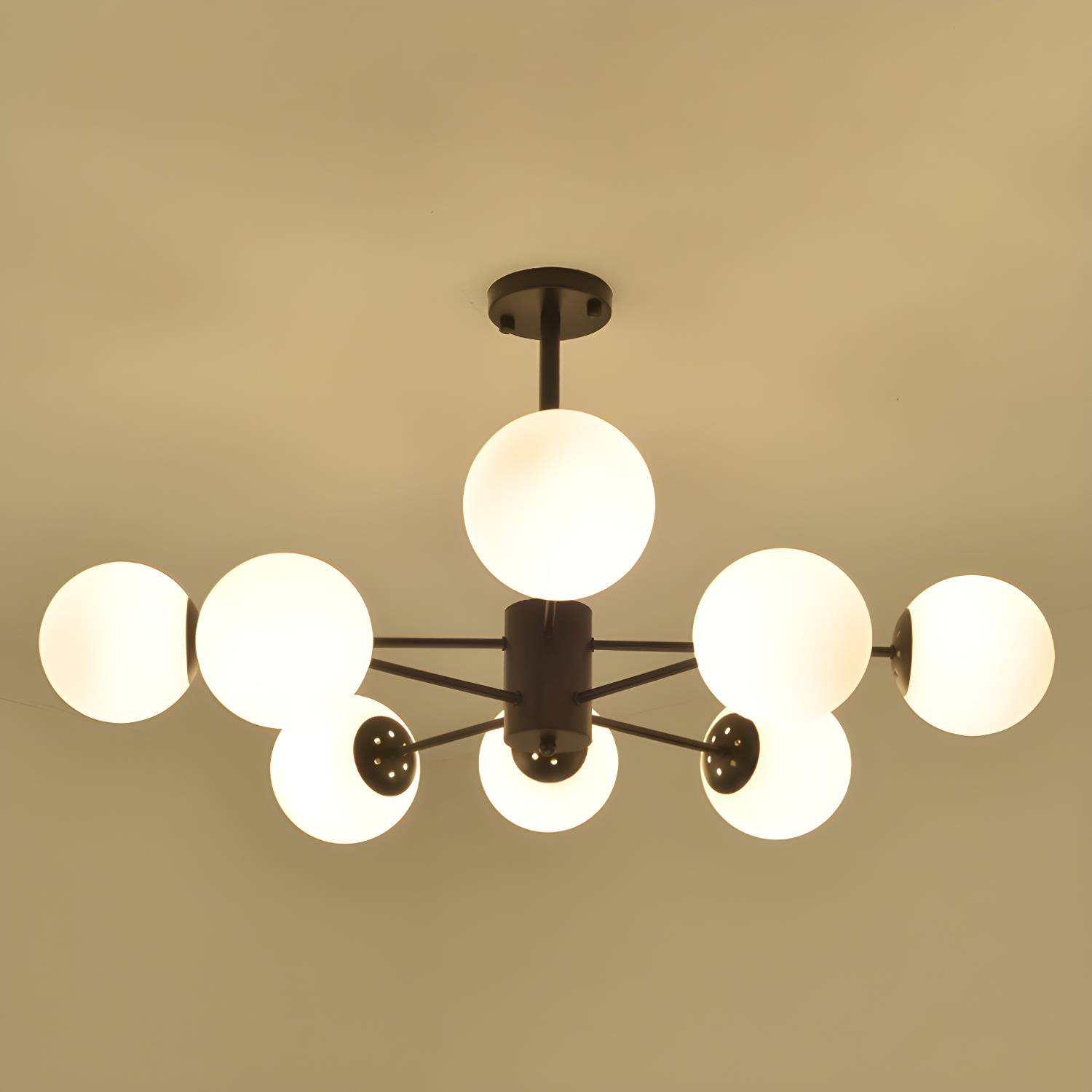 Imported image 64ec9d11444c 2719703.jpg
