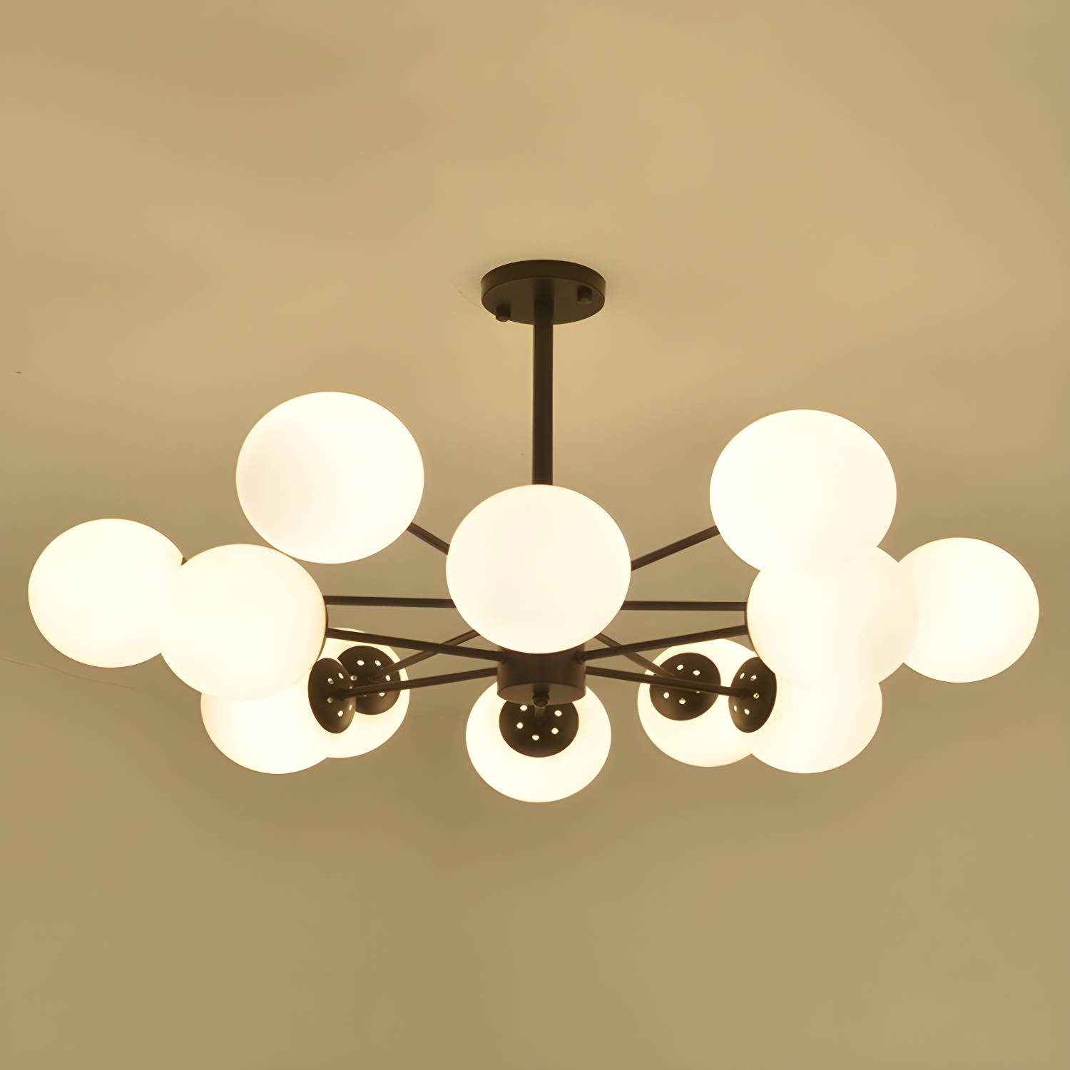 Imported image cc5c59cb186e 2719710.jpg