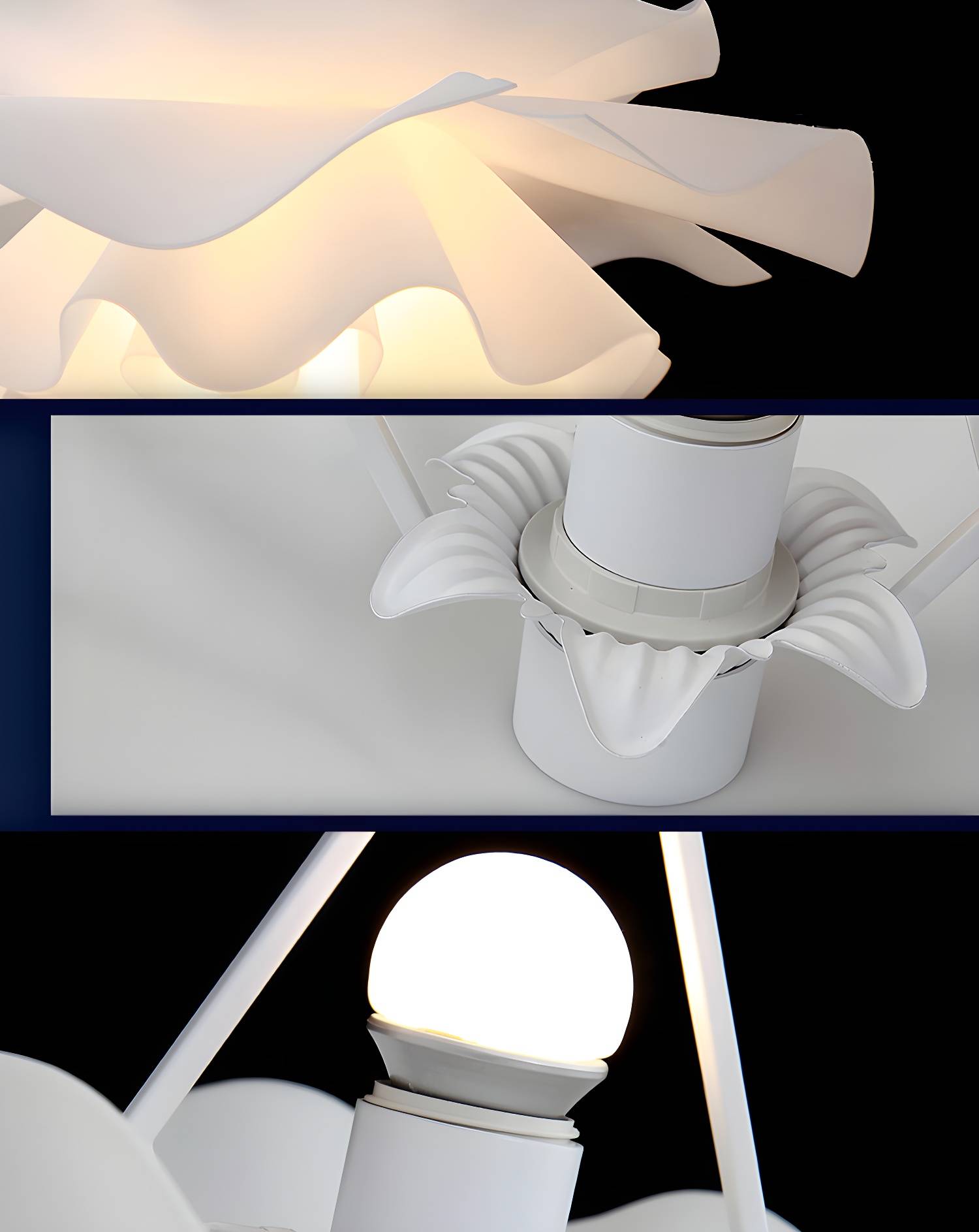 Imported image f885e7a2969a 2719957.jpg