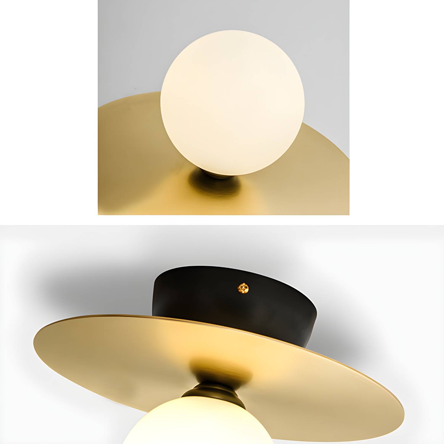 Imported image e26661ec412c 2720164.jpg