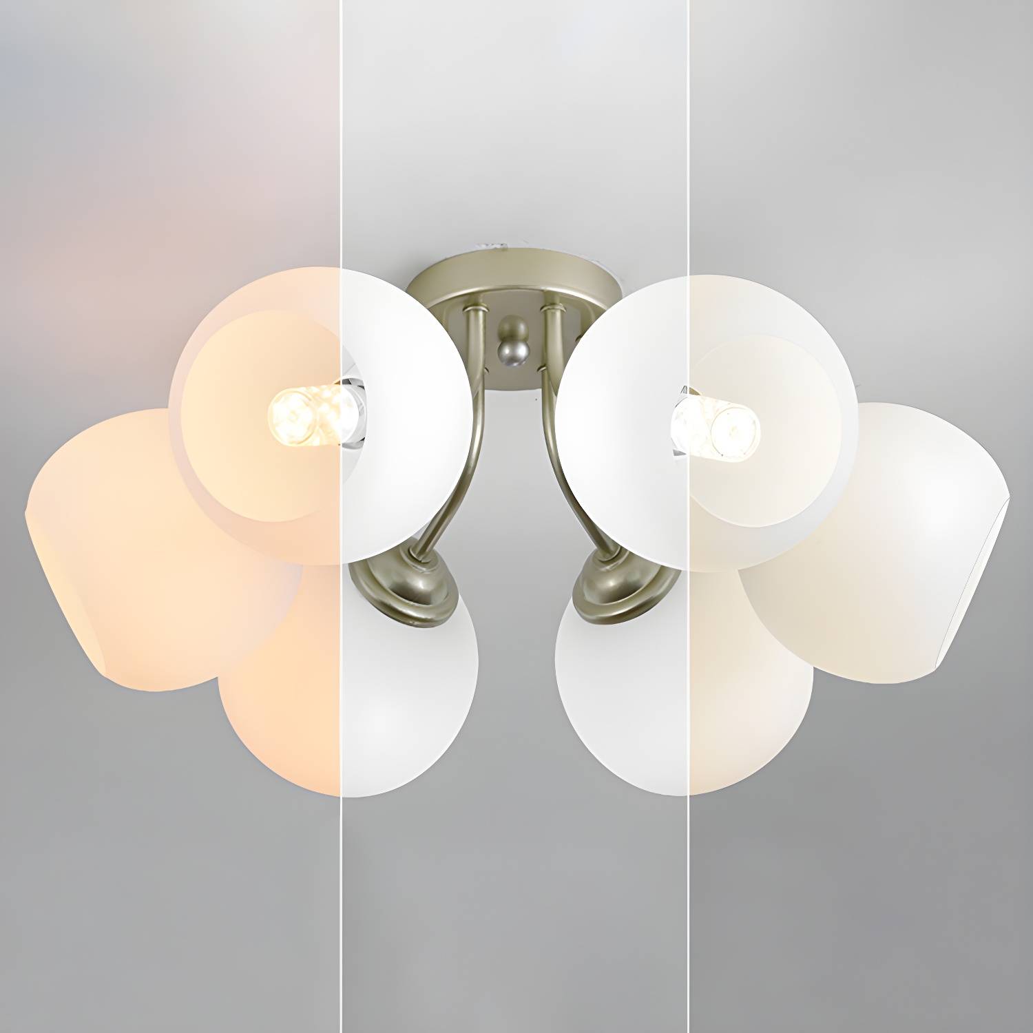 Imported image b627032c08e1 2727452.jpg