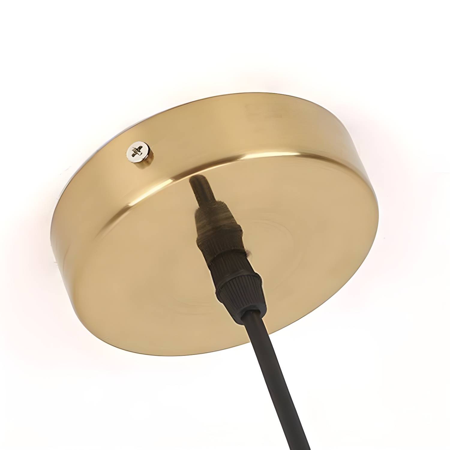 Imported image f883e489e096 2730392.jpg