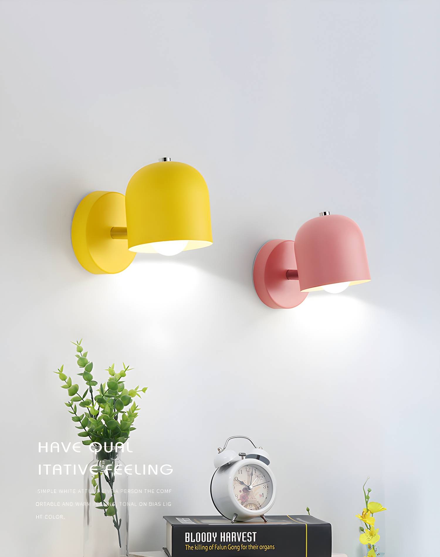Imported image 711b8ab1de92 2735179.jpg