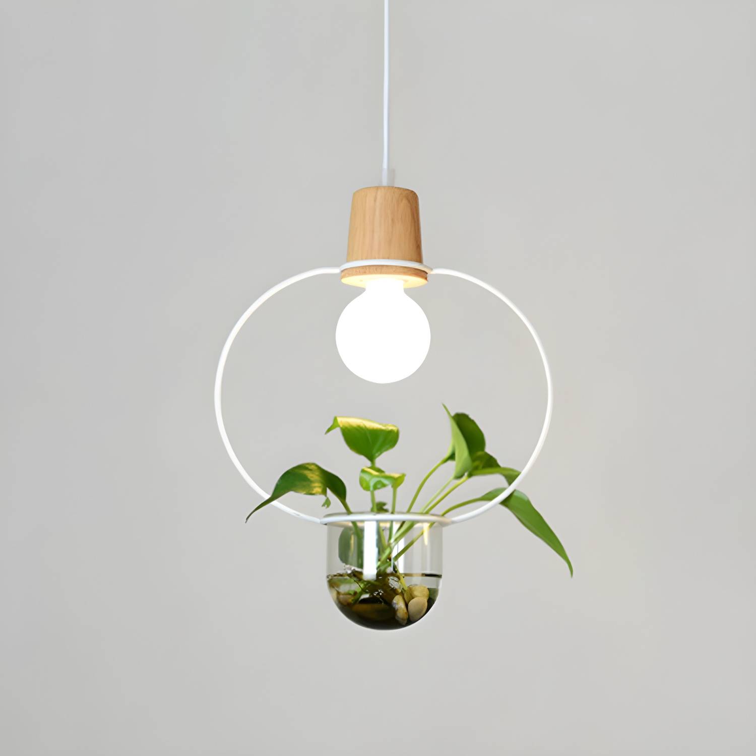 Imported image f99360a75cad 2735965.jpg