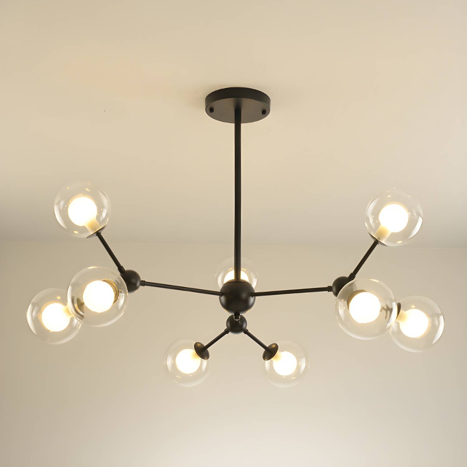 Imported image f905d4df6317 2736360.jpg