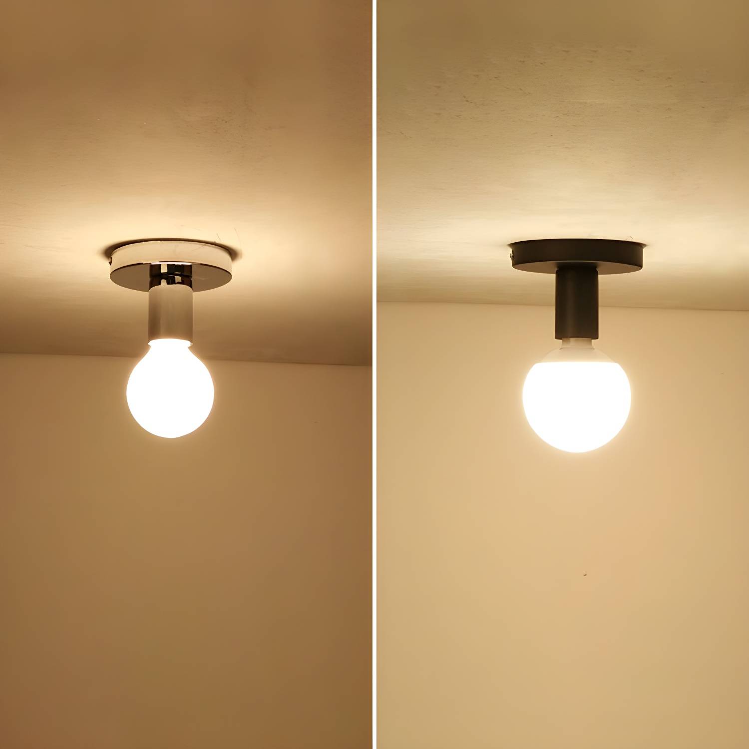 Imported image 196079f519ac 2744259.jpg