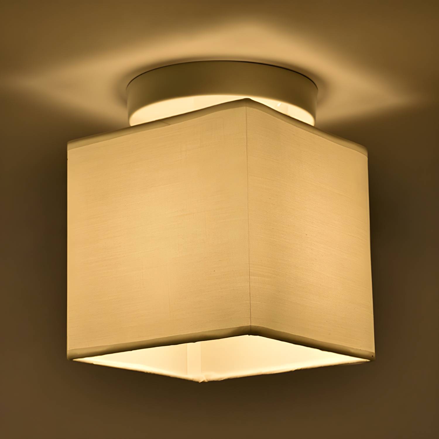 Imported image 258eb45f7b31 2748338.jpg