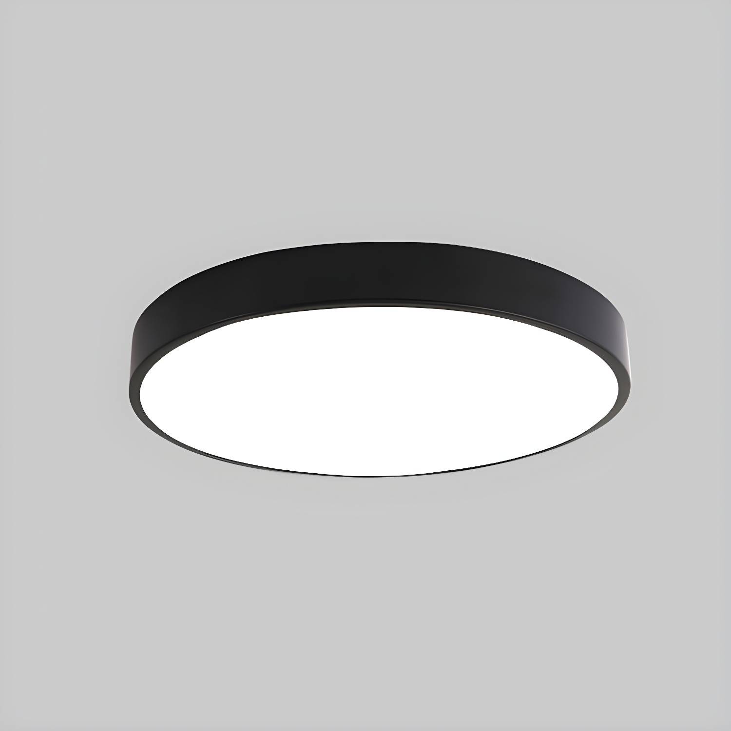 Imported image 857f309cb8ce 2748764.jpg