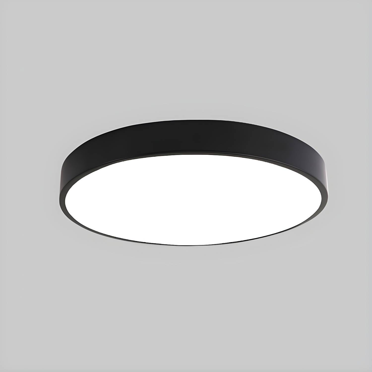 Imported image 719ceb88f790 2748766.jpg