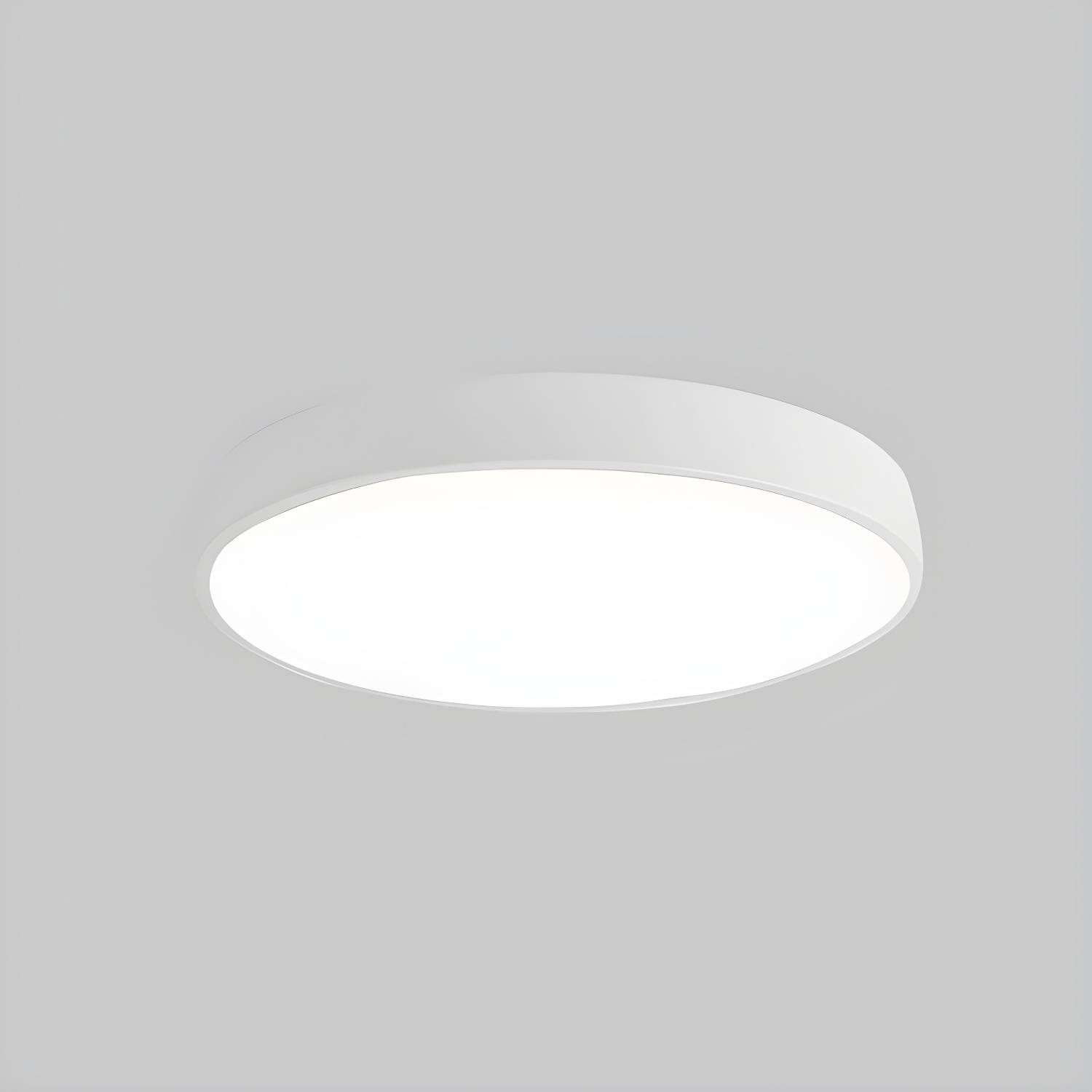 Imported image ee64e35398b0 2748777.jpg