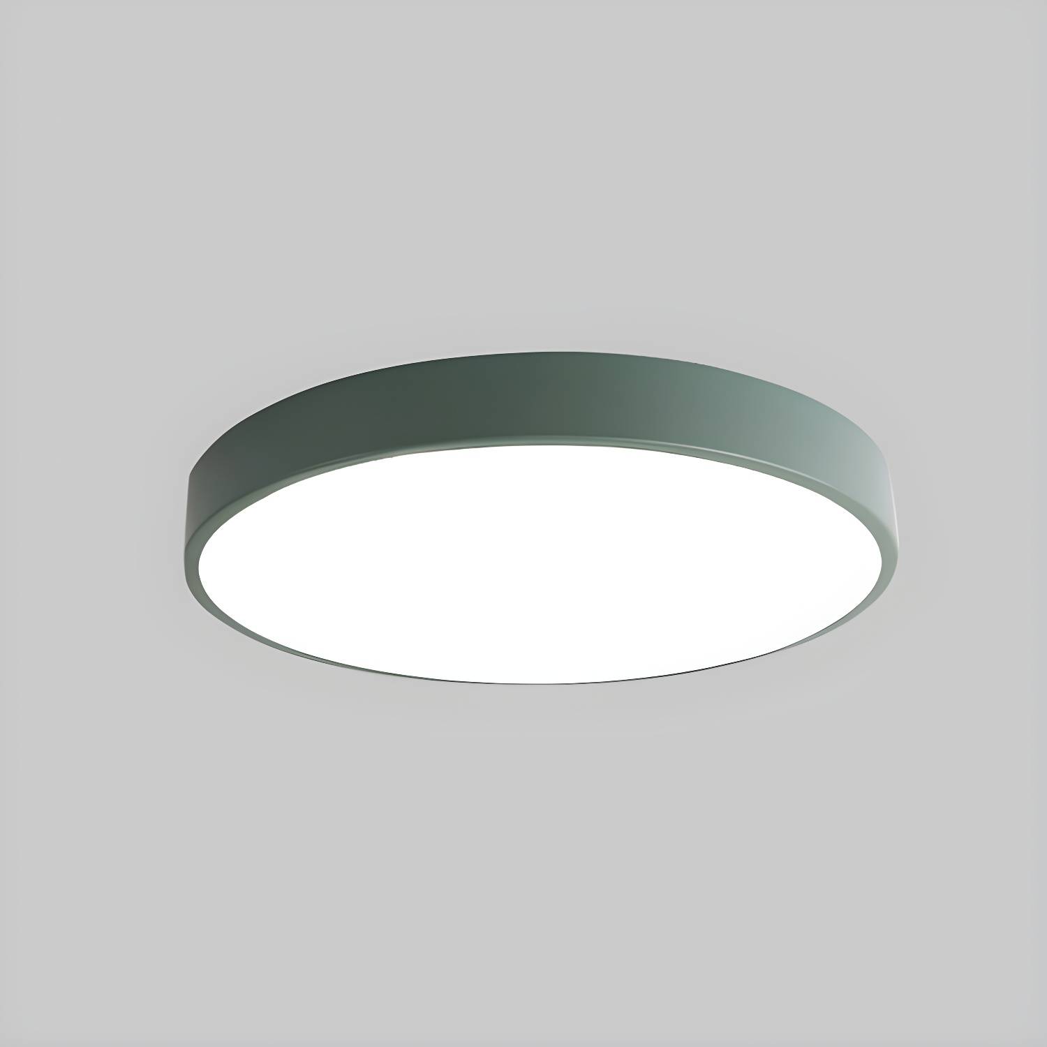 Imported image 1e257f6365a0 2748780.jpg